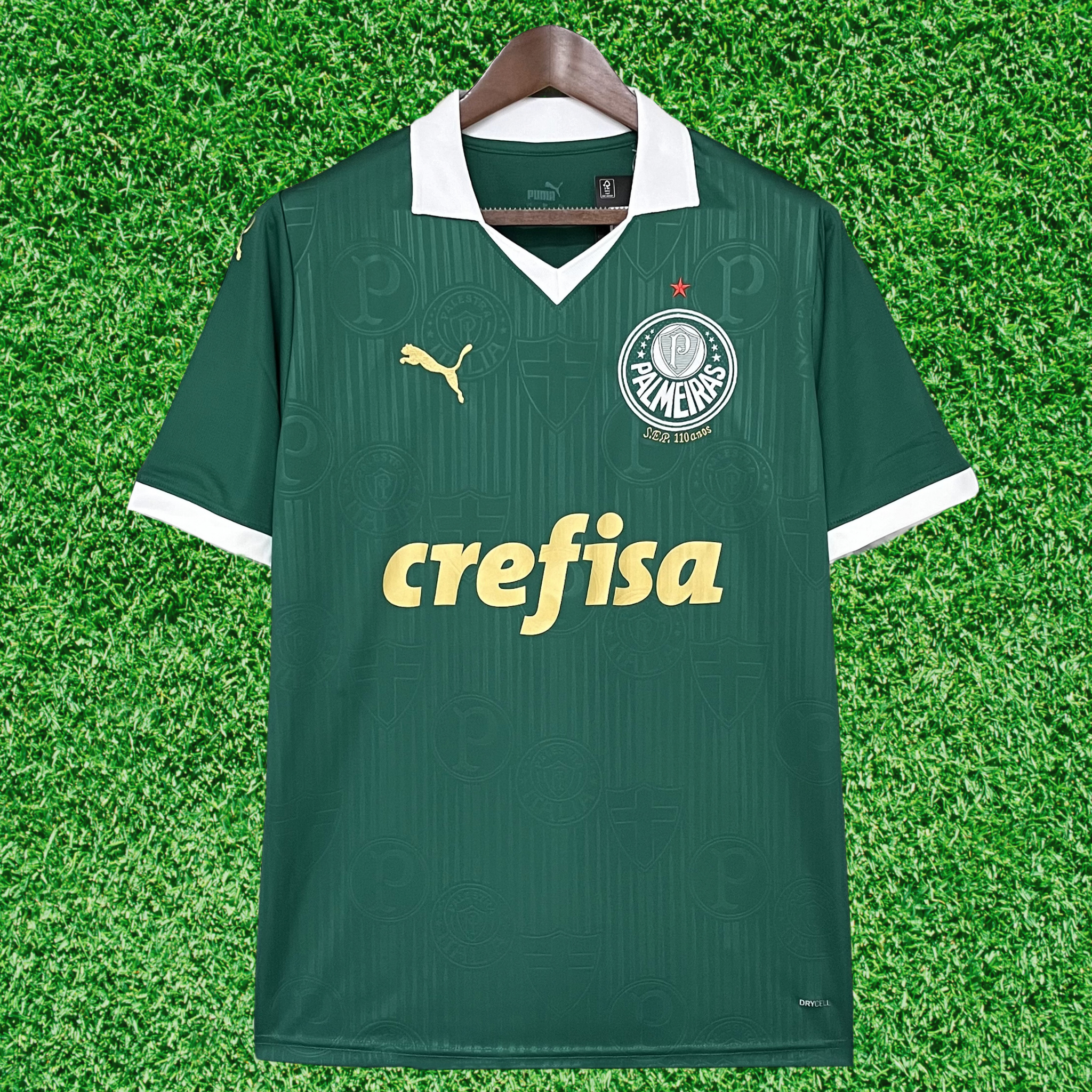 Jersey Palmeiras I 24/25 Fan
