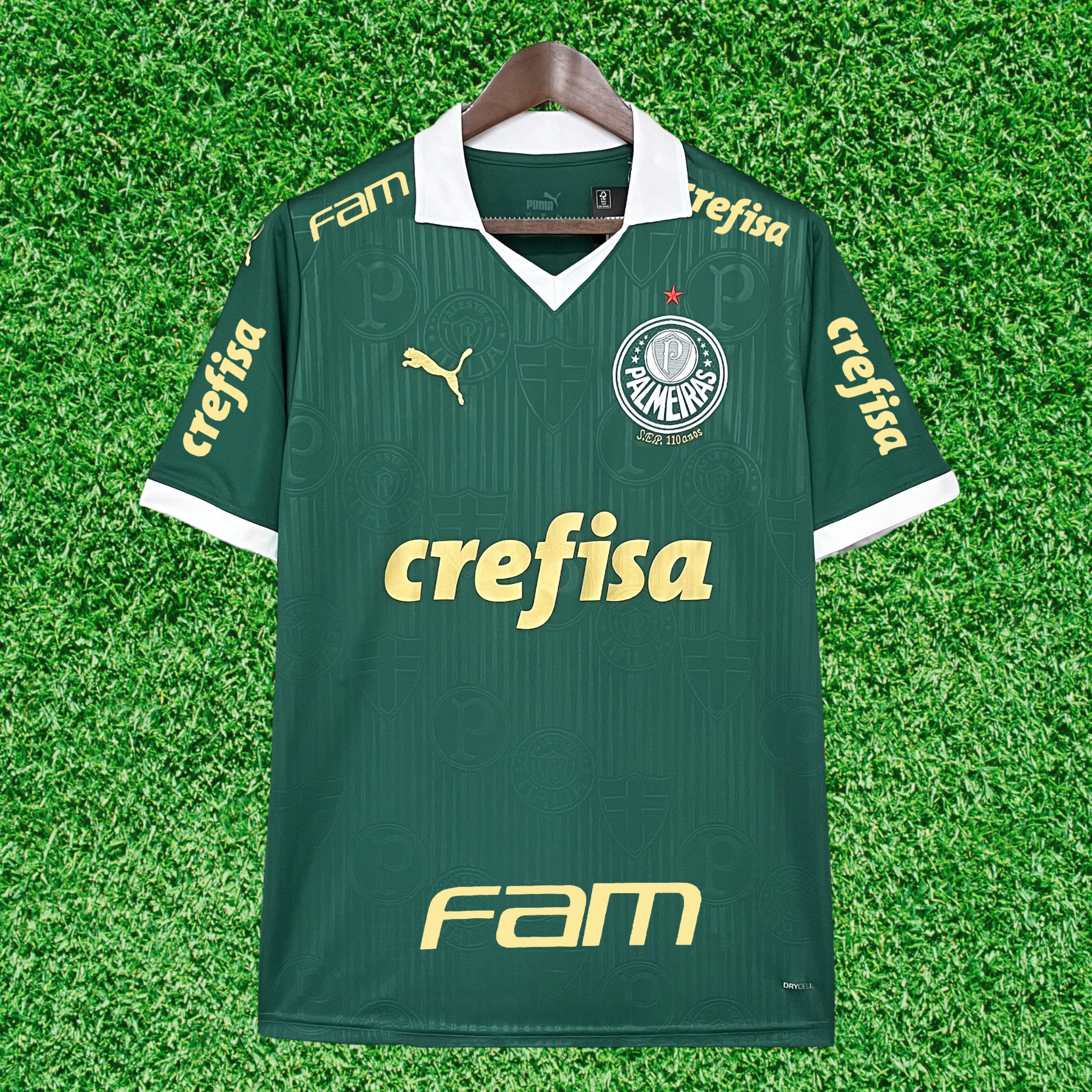 Jersey Palmeiras I 24/25 Fan