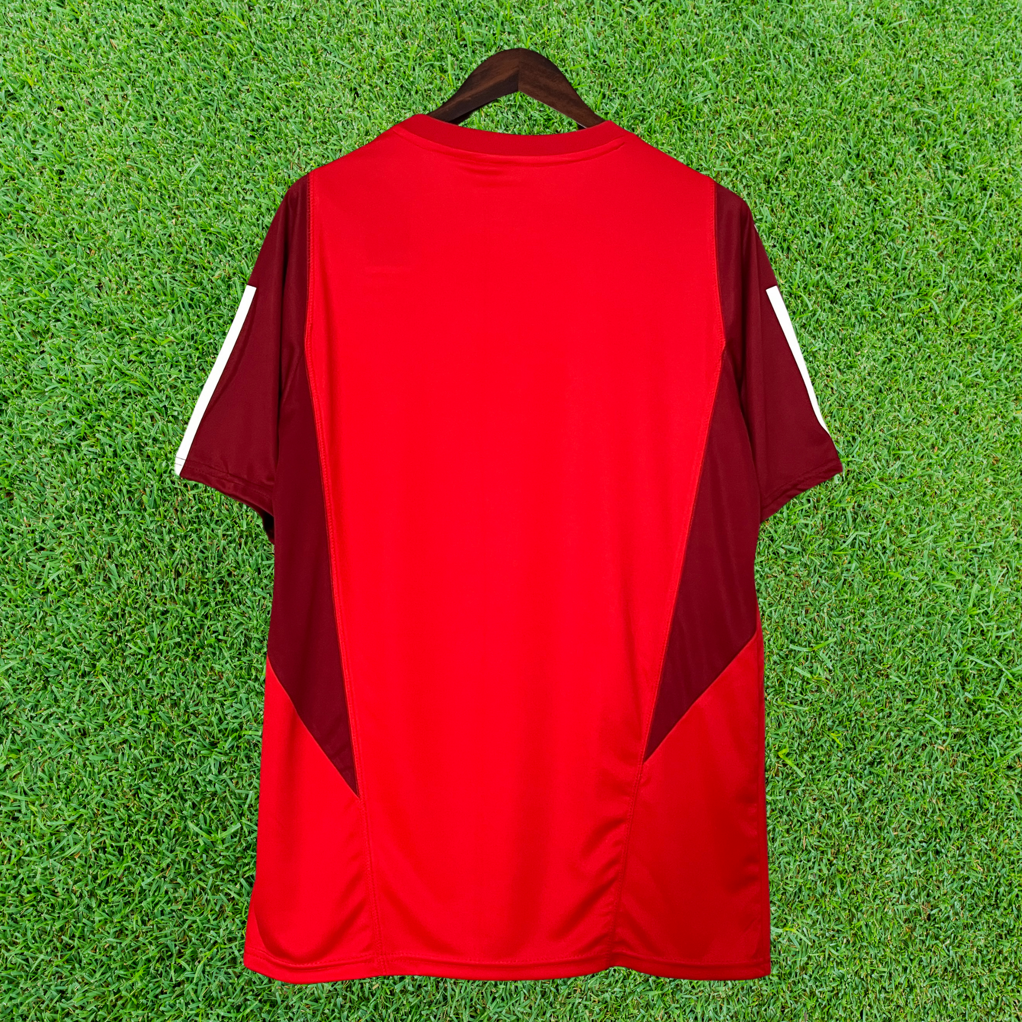 Jersey Internacional Training 24/25 Fan