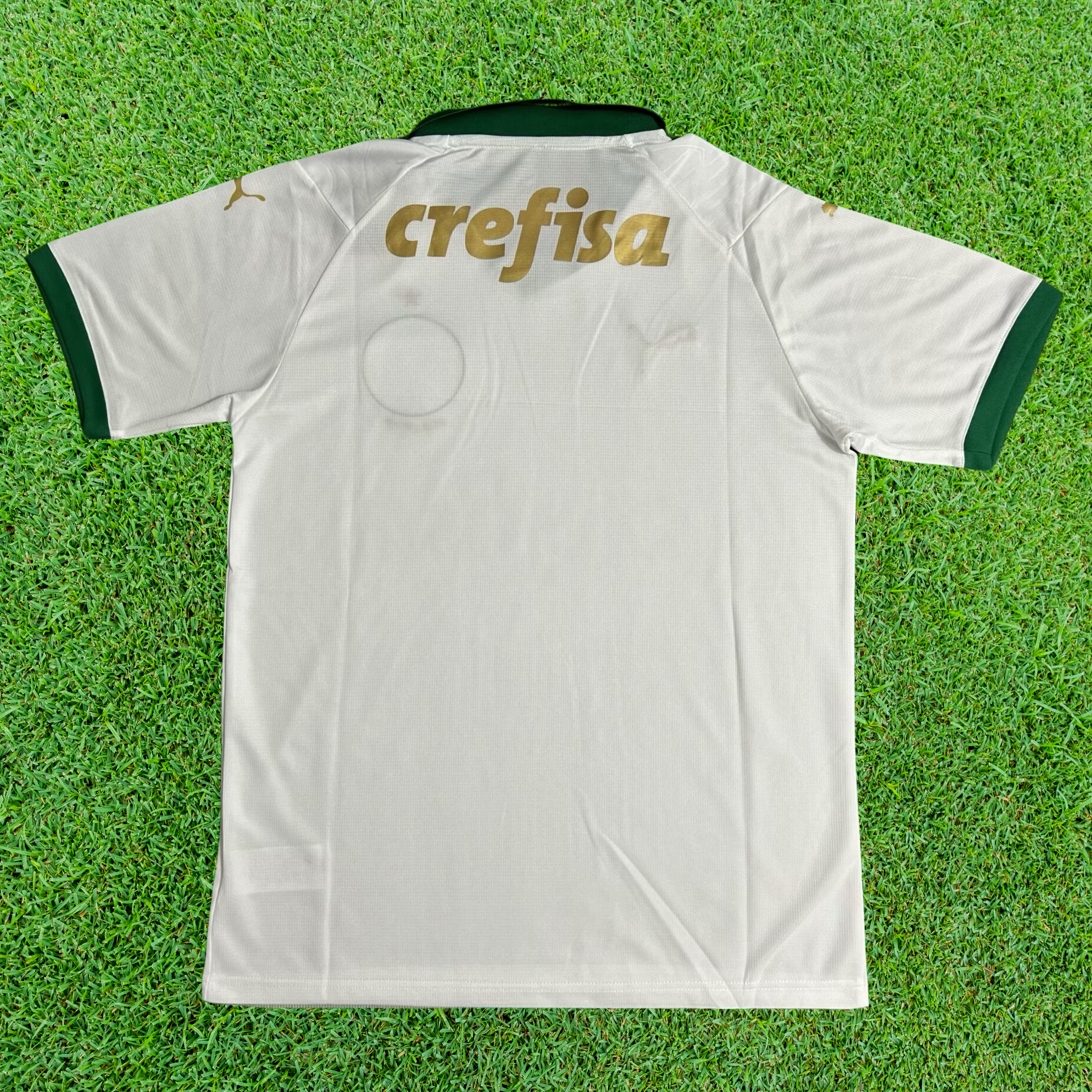 Jersey Palmeiras II 24/25 Fan