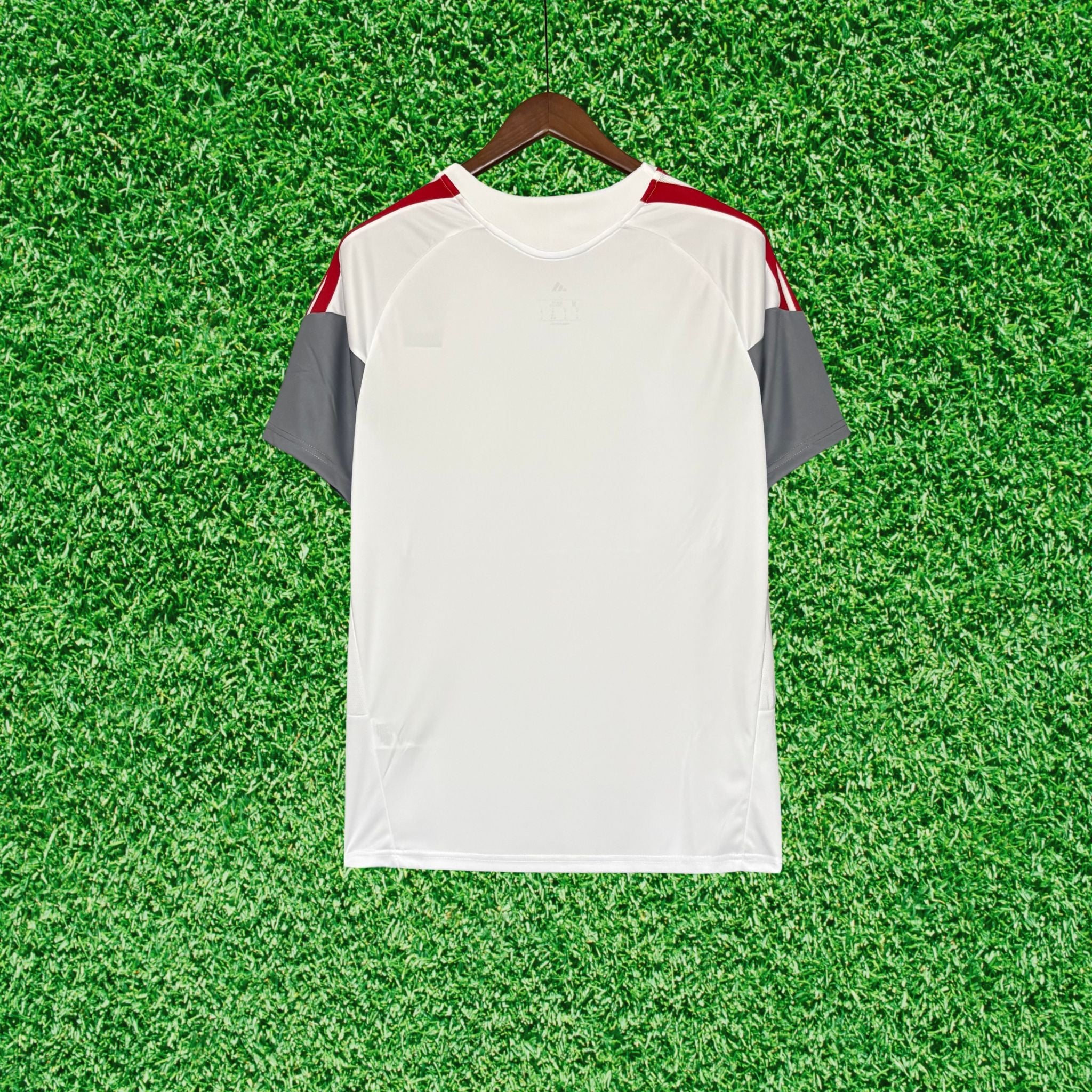 Jersey Internacional Training II 26/27 Fan