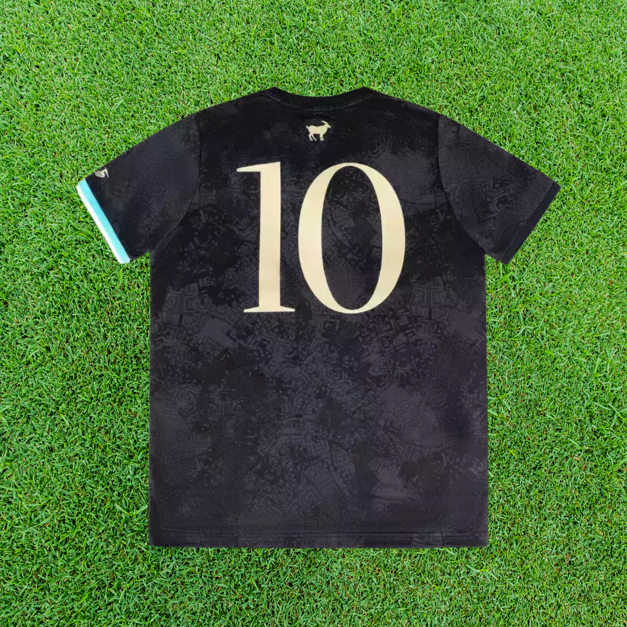Jersey Argentina La Pulga 23/24 Fan