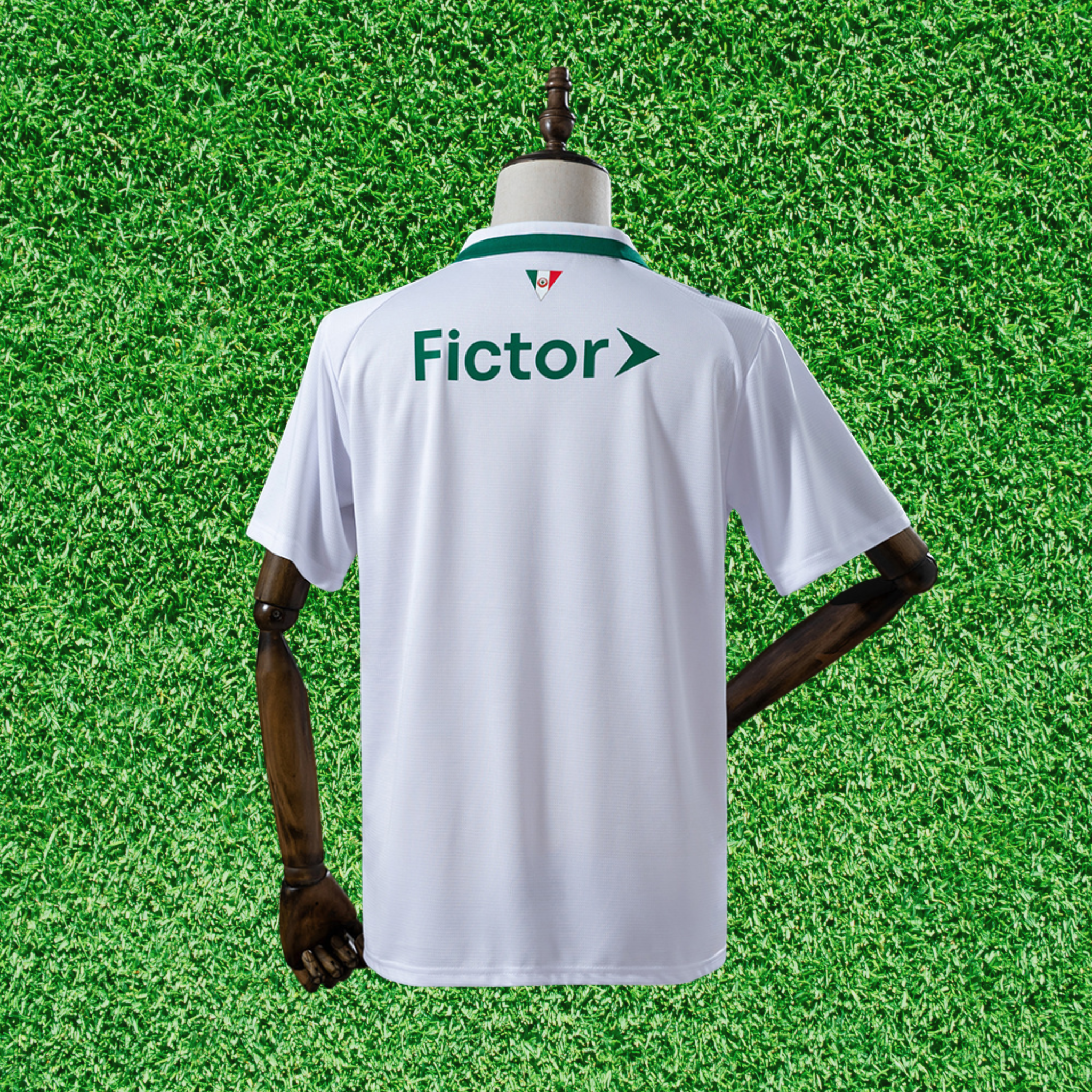Jersey Palmeiras II 26/27 Fan