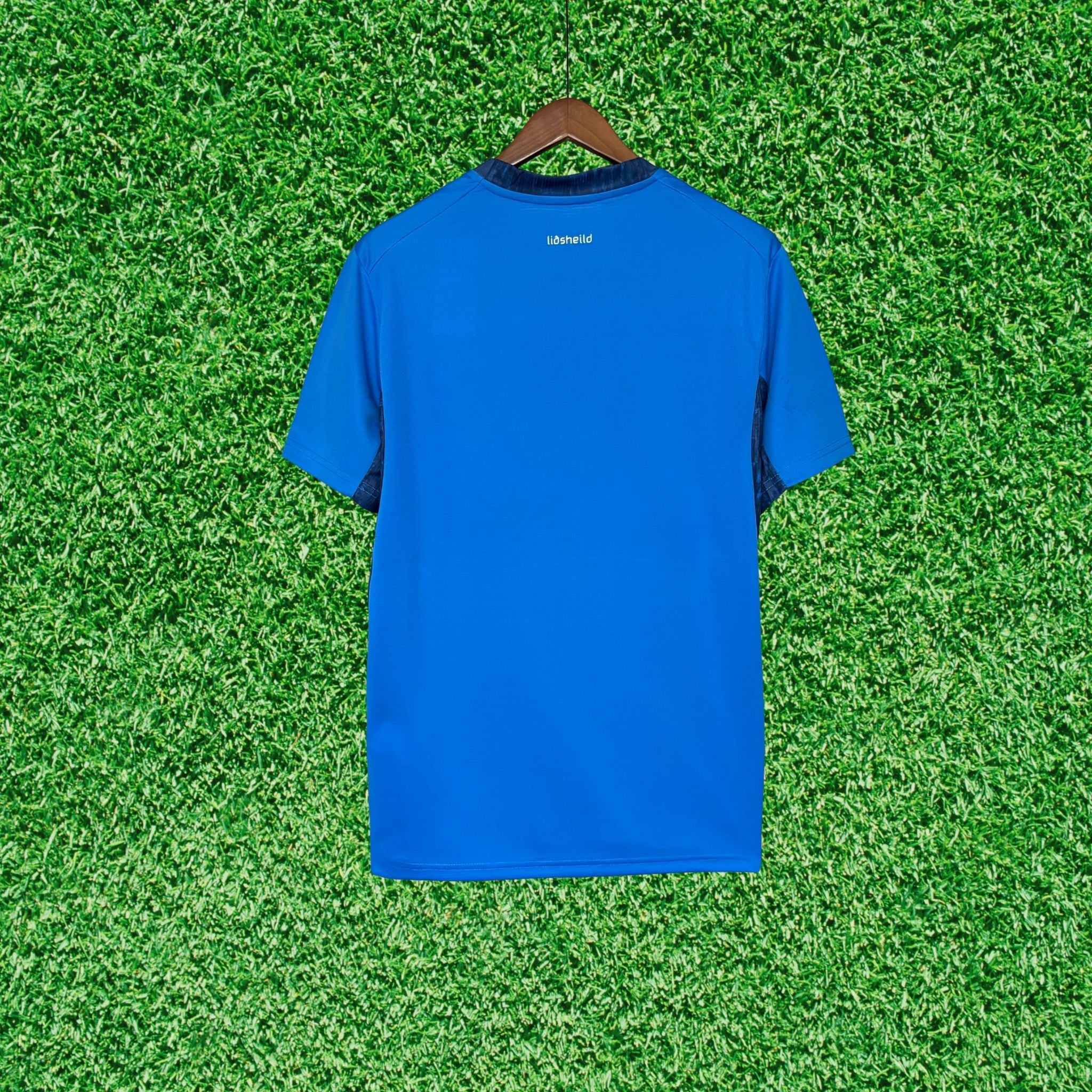 Jersey Iceland I 2026 Fan