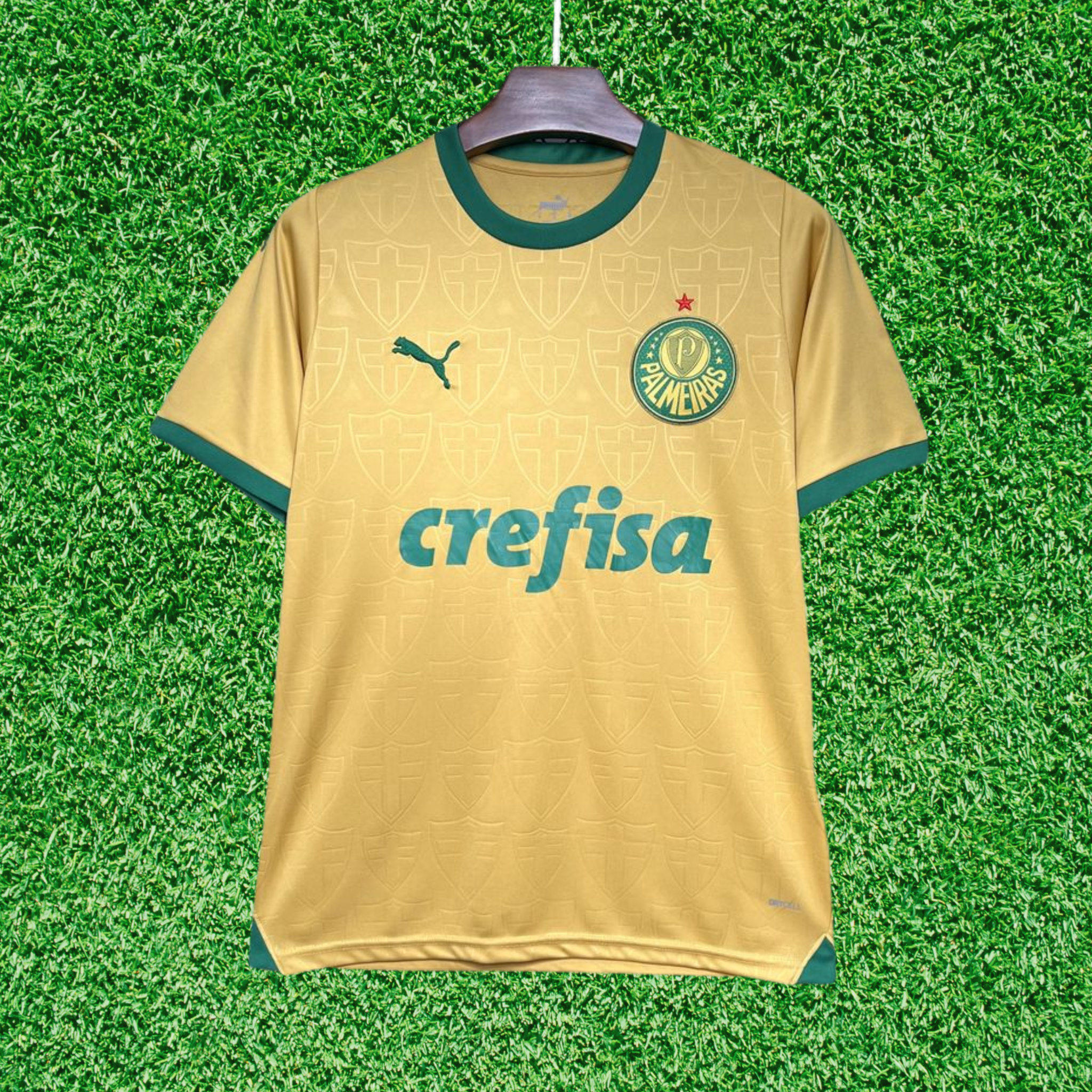 Jersey Palmeiras III 24/25 Fan