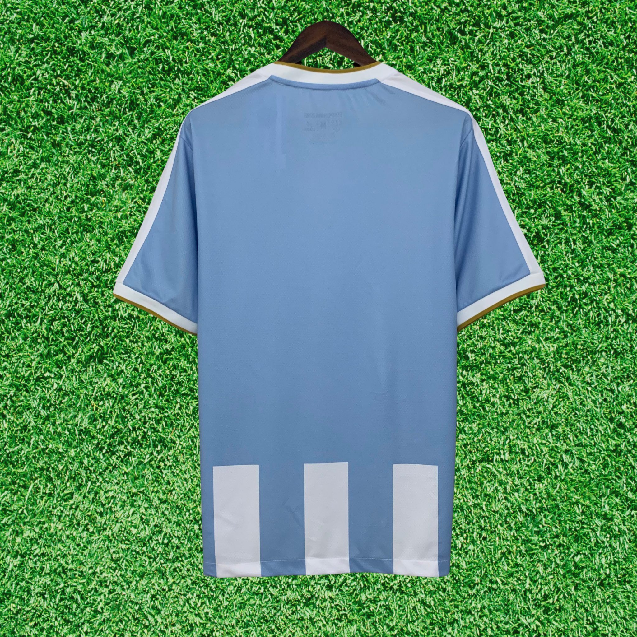 Jersey Paysandu I 25/26 Fan