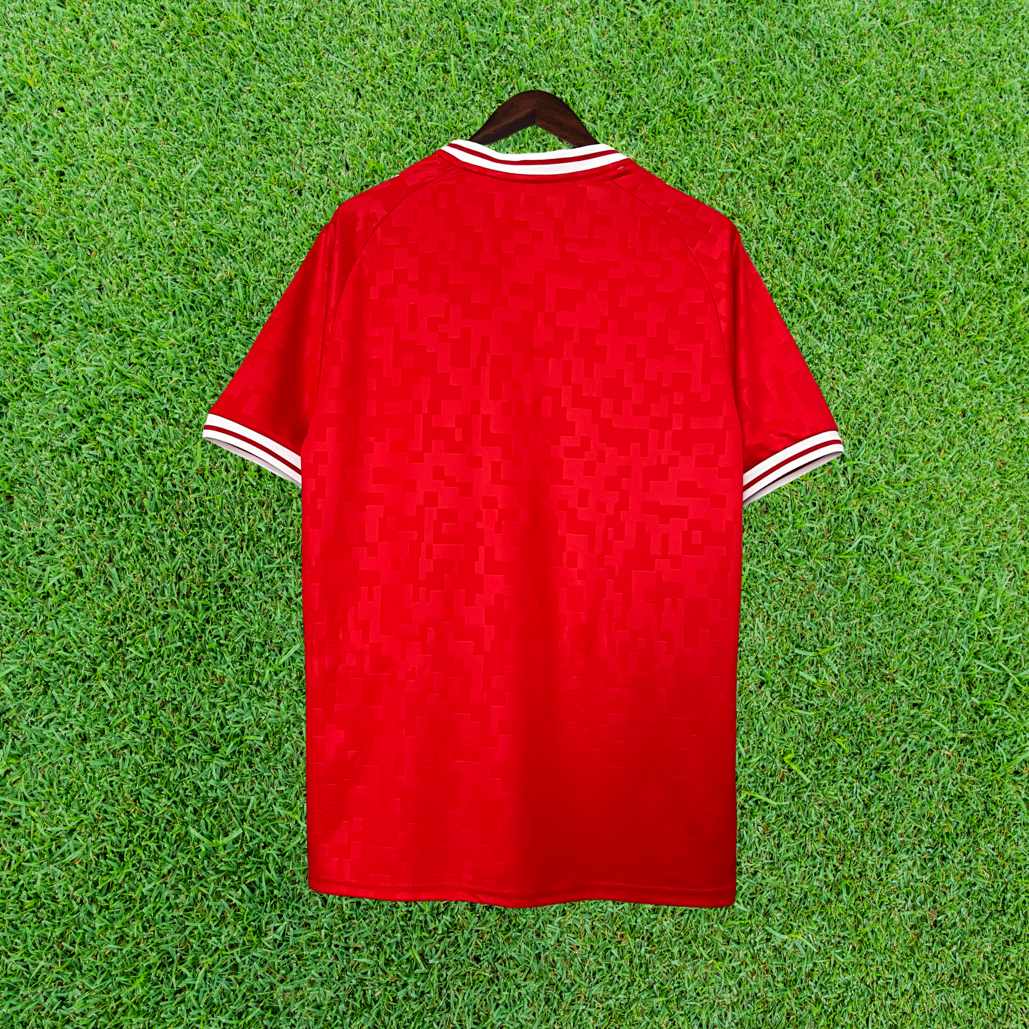 Jersey Denmark I 2024 Fan