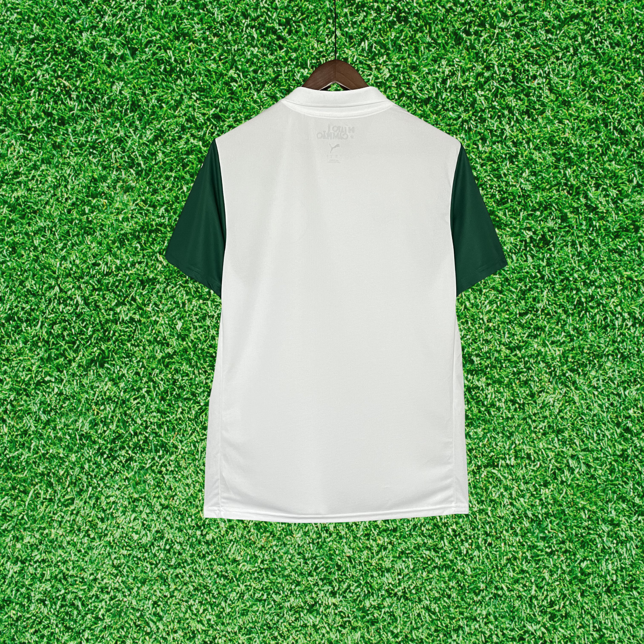 Jersey Palmeiras II 25/26 Fan