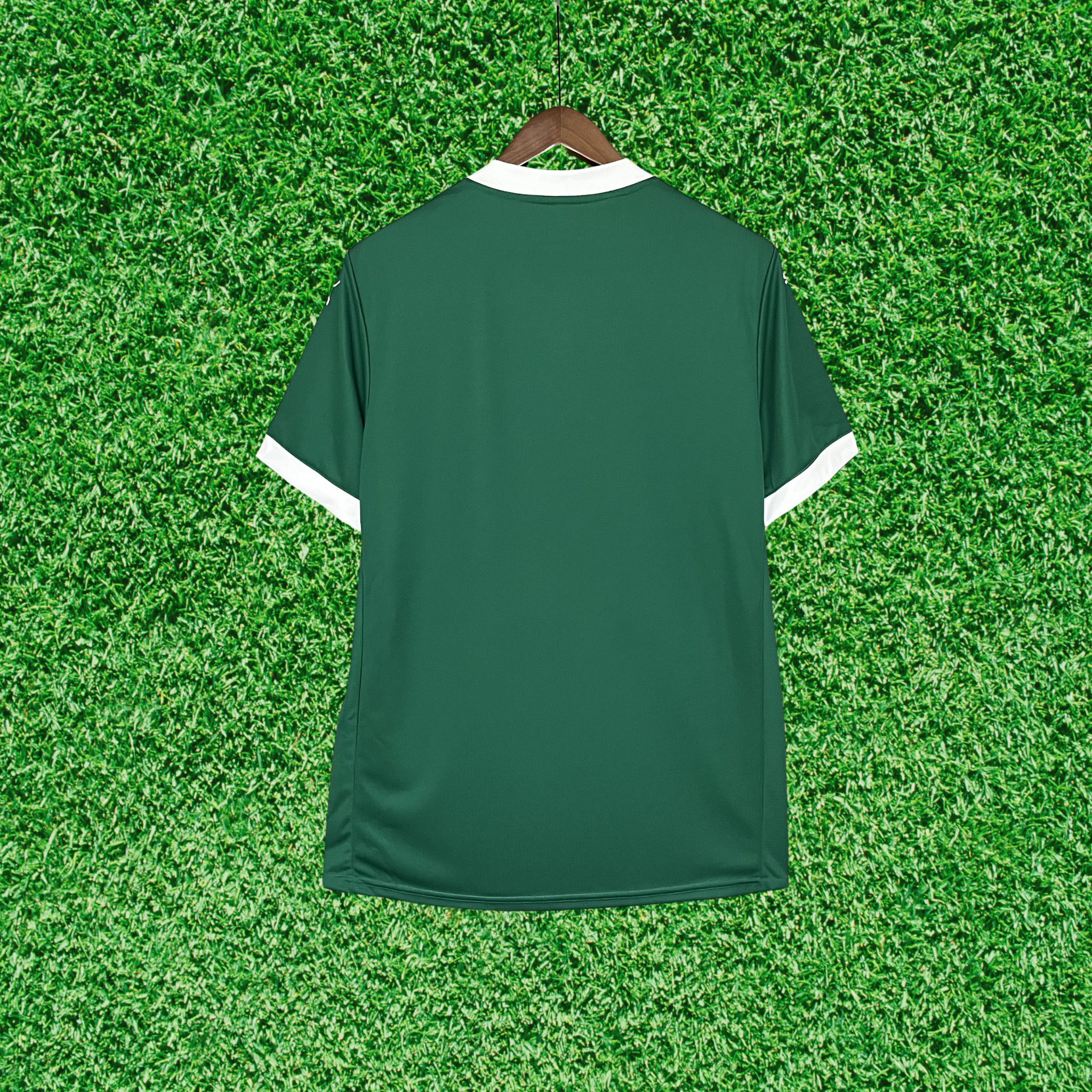 Jersey Palmeiras I 25/26 Fan