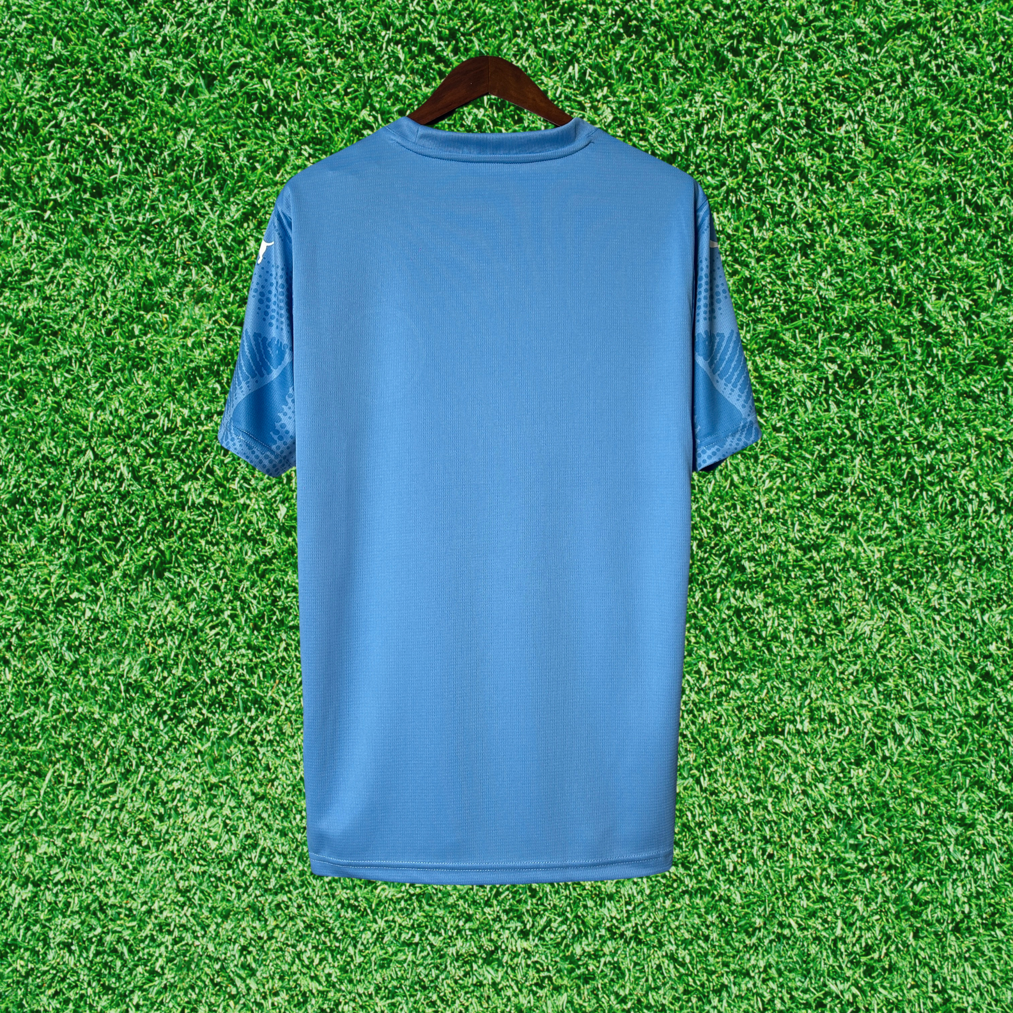 Jersey Palmeiras Goalkeeper I 25/26 Fan