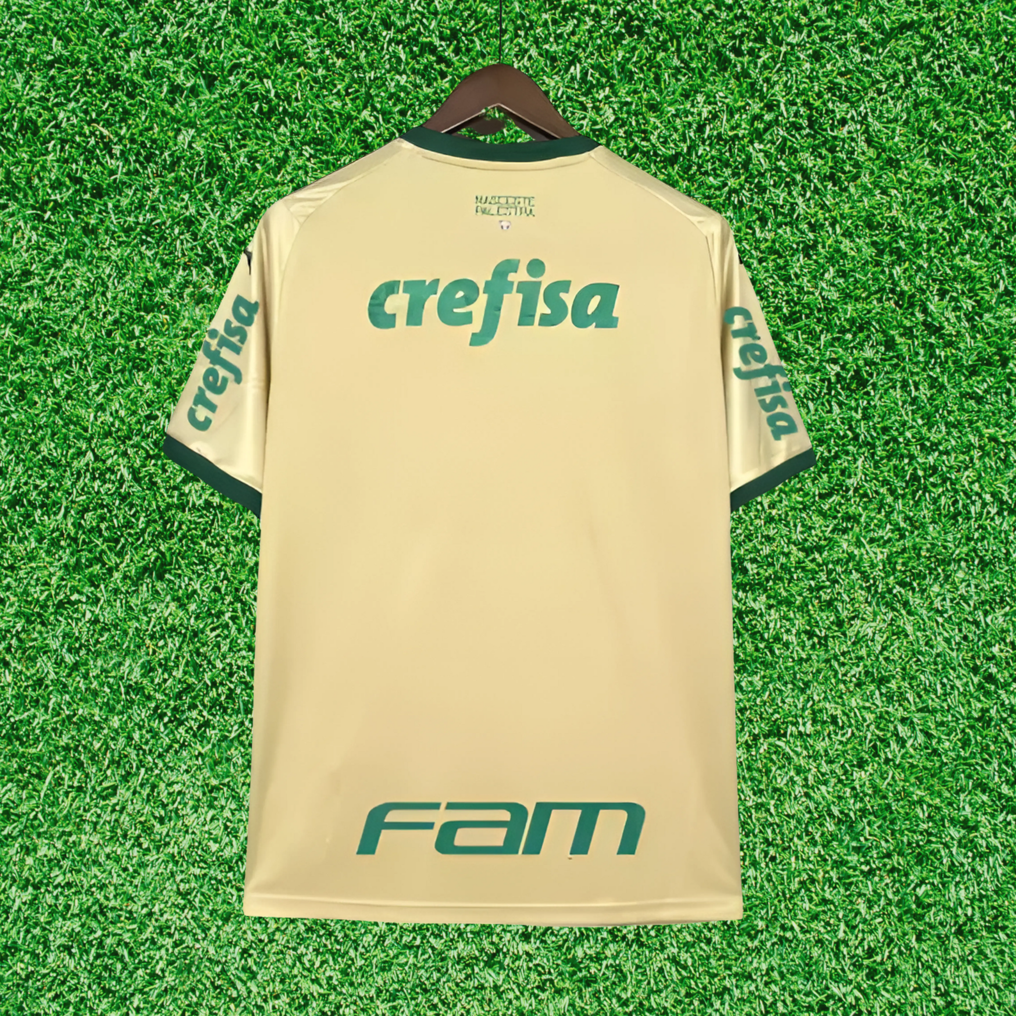 Jersey Palmeiras III 24/25 Fan