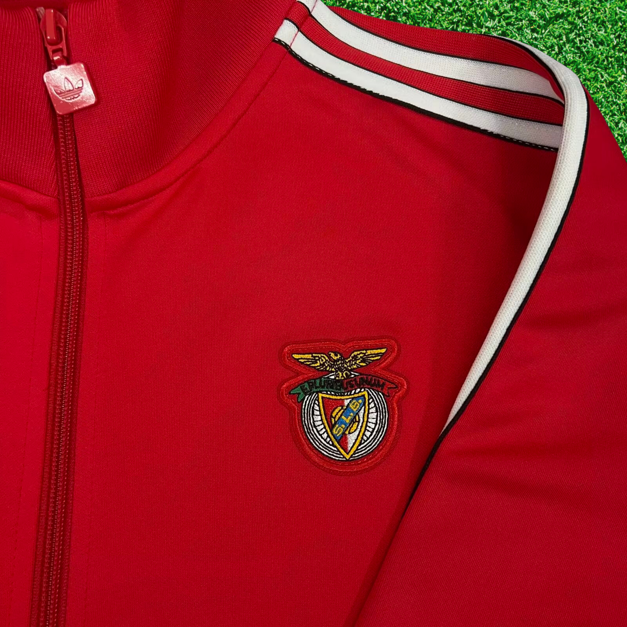 Set SL Benfica Vintage 2025