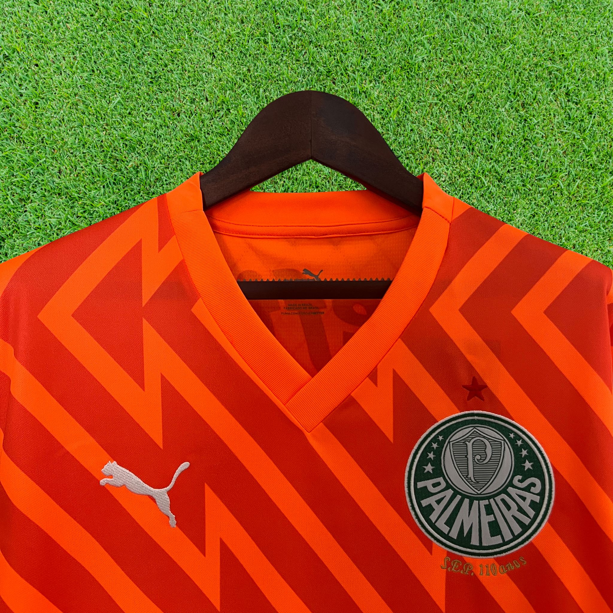 Jersey Palmeiras Goalkeeper 24/25 Fan