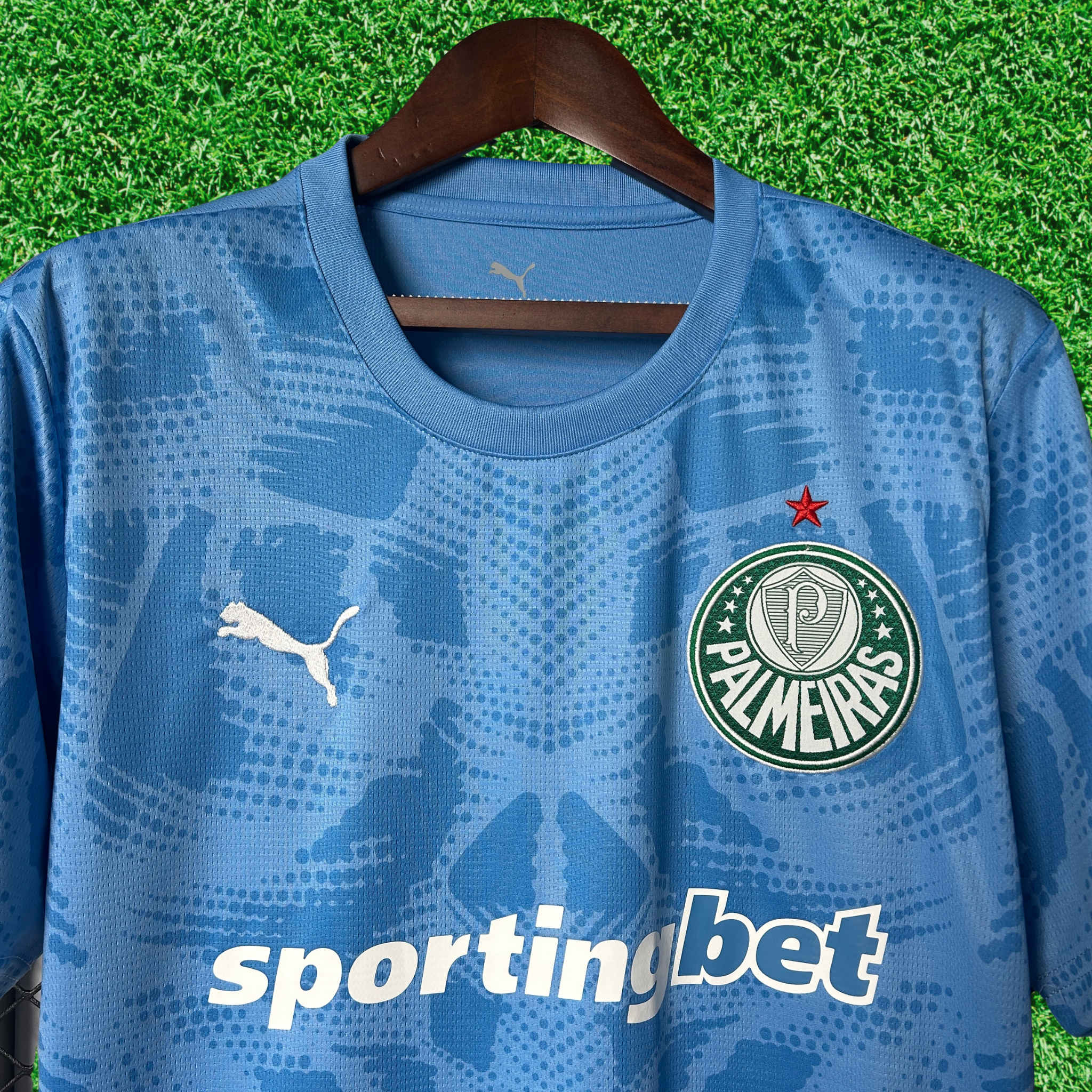 Jersey Palmeiras Goalkeeper I 25/26 Fan