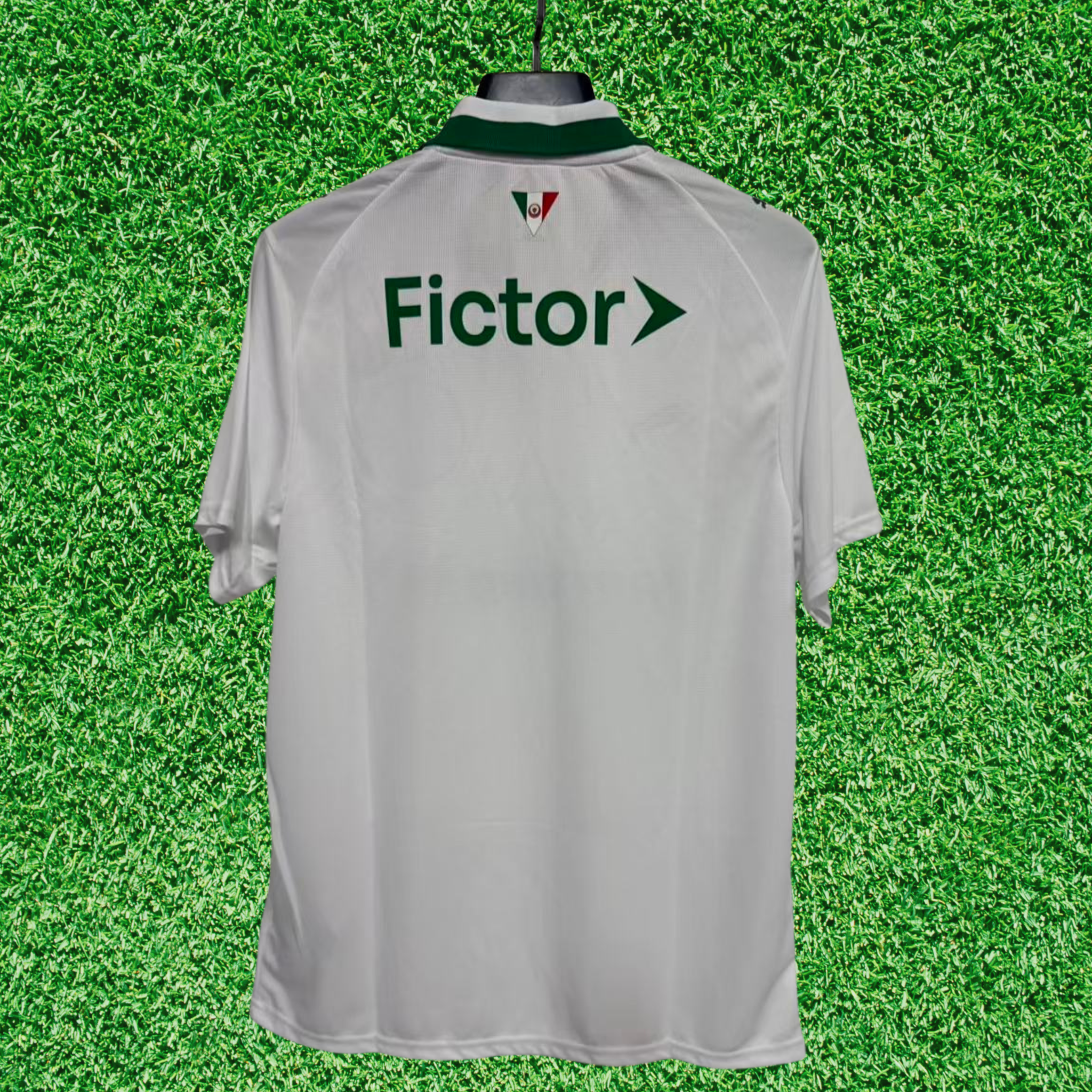 Jersey Palmeiras II 26/27 Fan