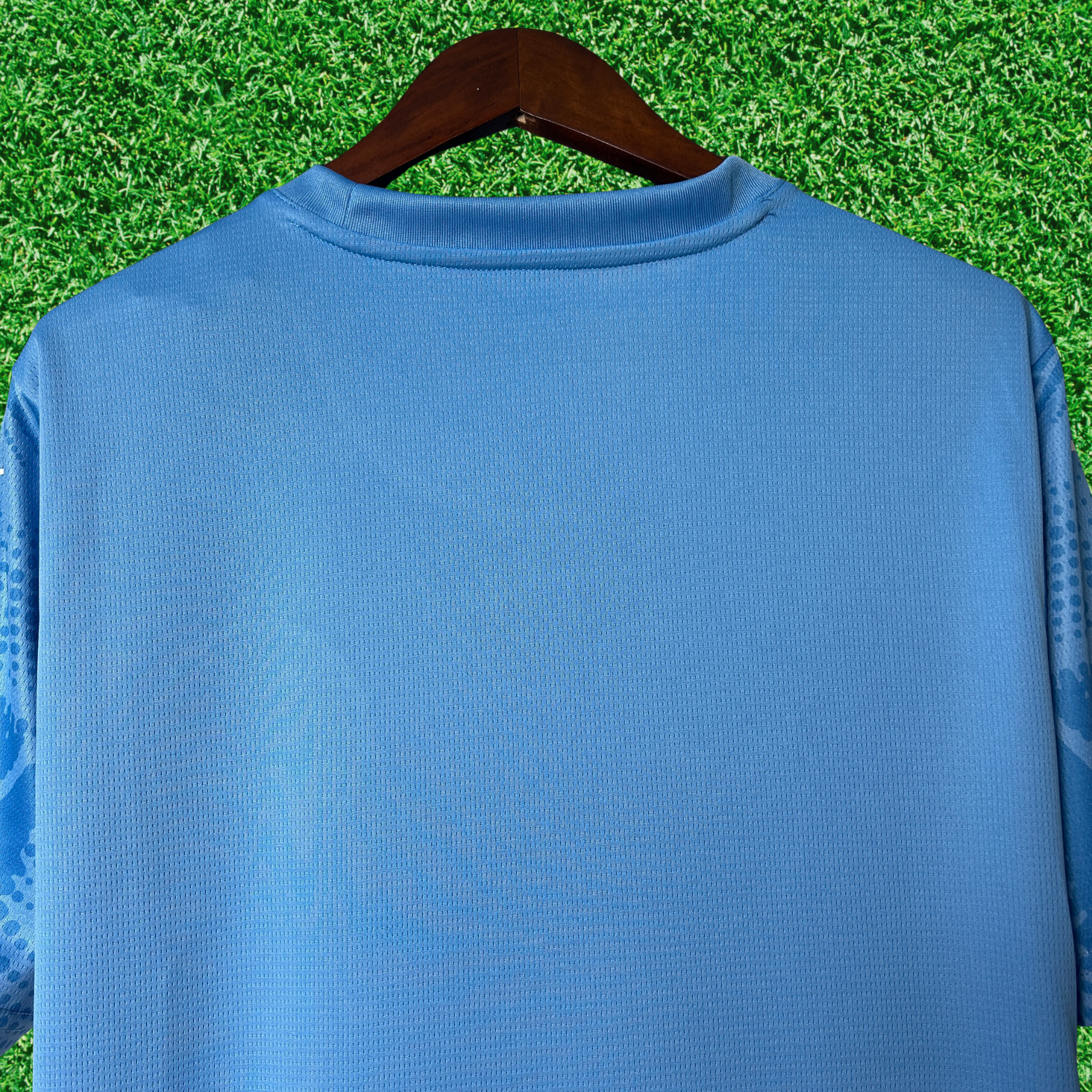 Jersey Palmeiras Goalkeeper I 25/26 Fan