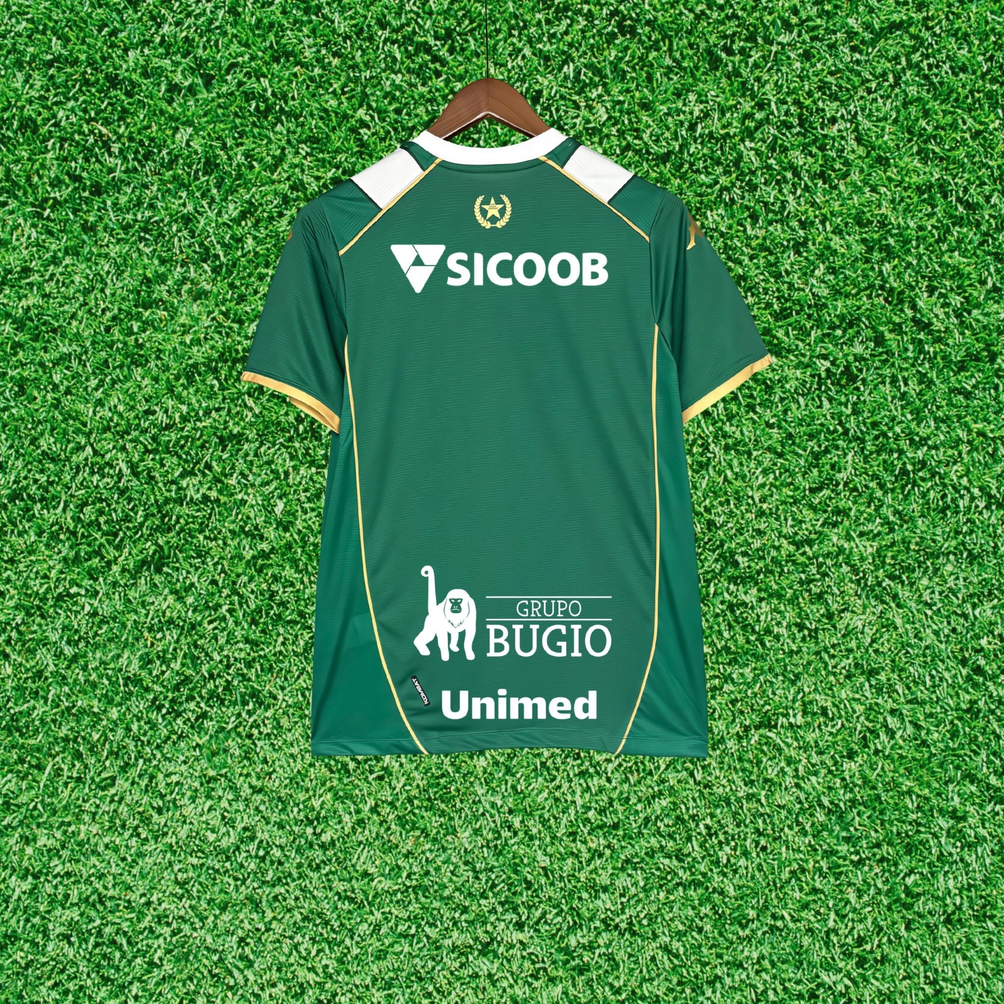Jersey Chapecoense I 26/27 Fan