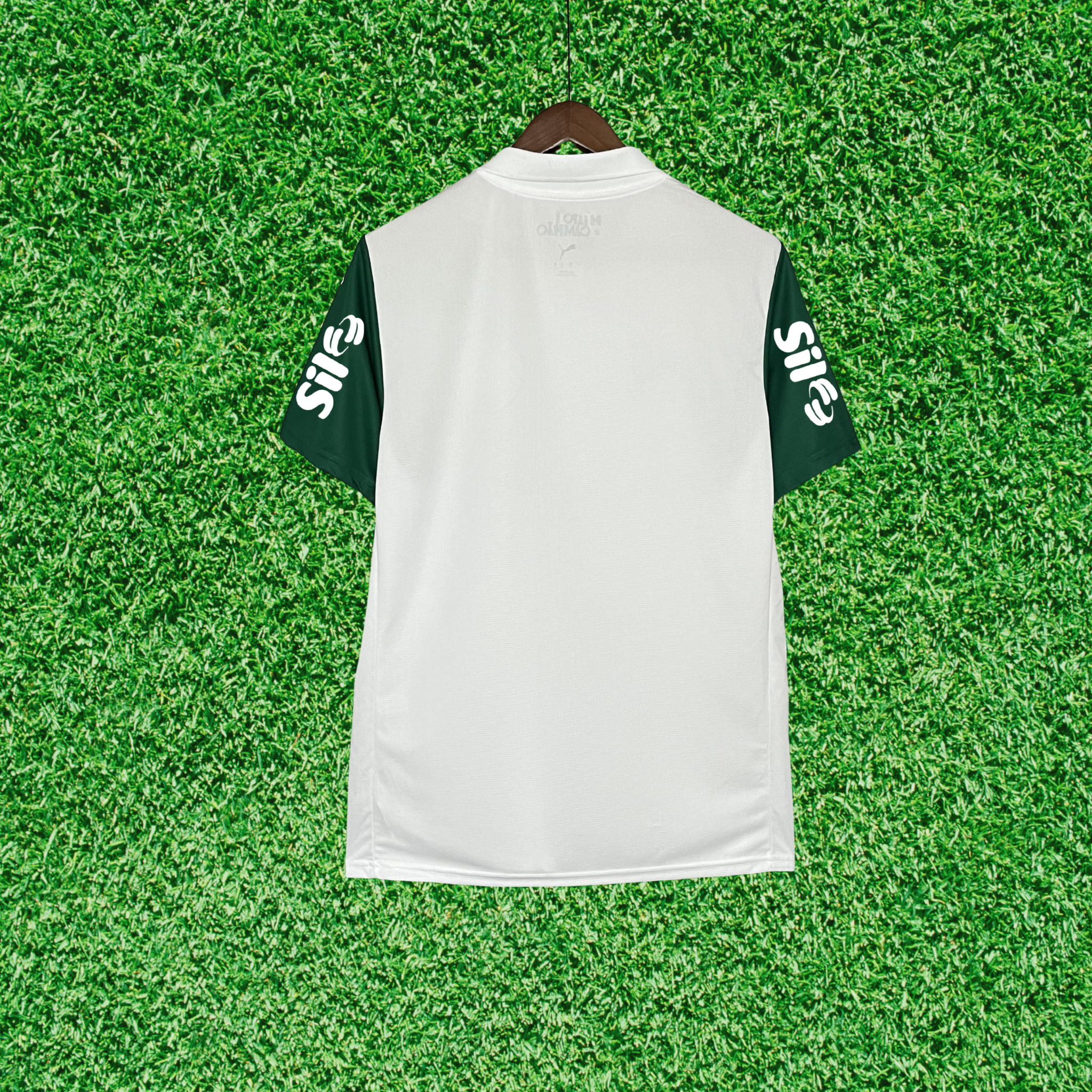 Jersey Palmeiras II 25/26 Fan