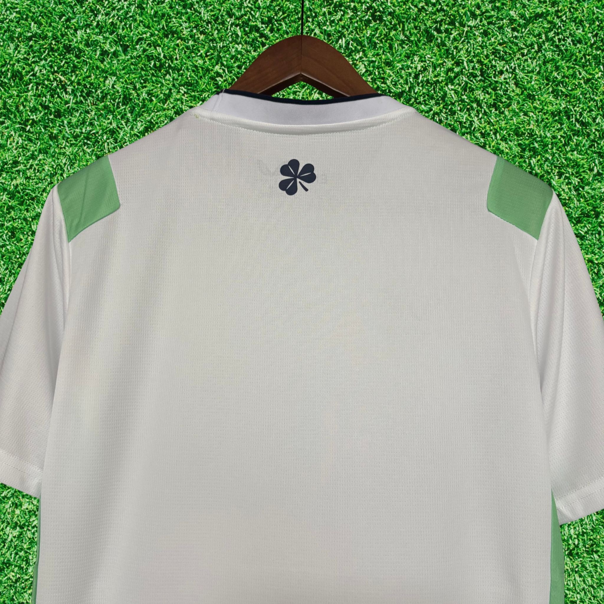 Jersey Ireland II 2026 Fan