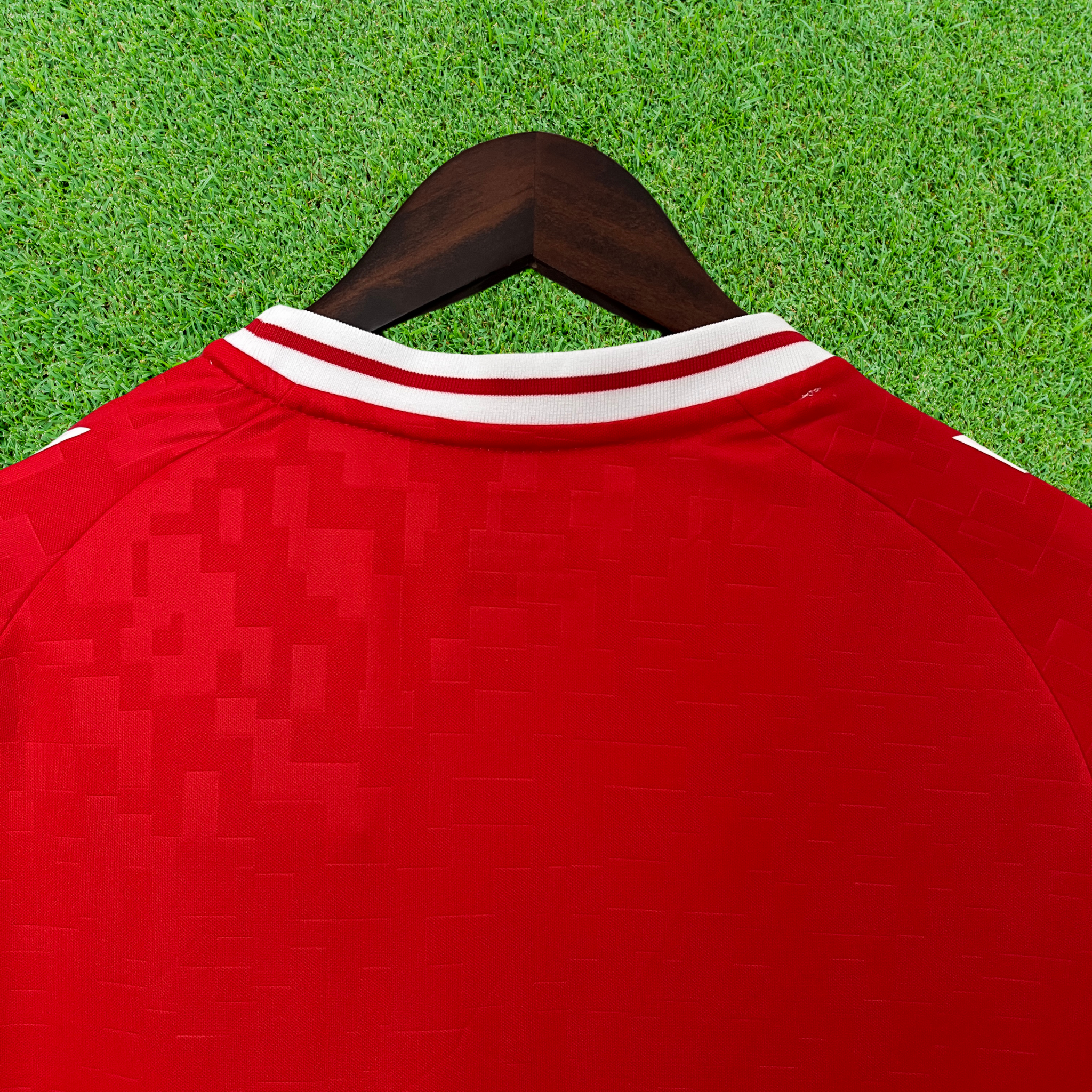 Jersey Denmark I 2024 Fan