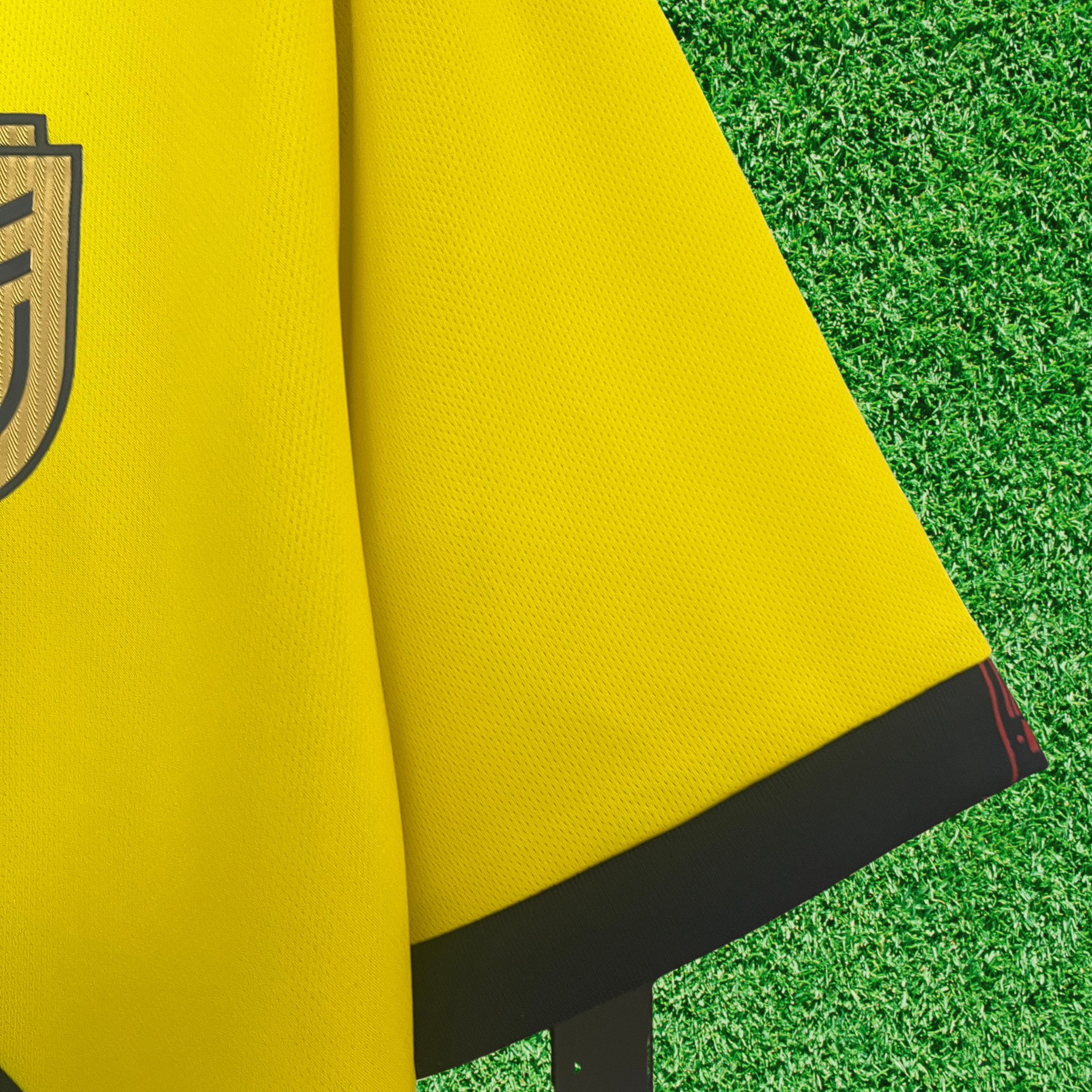 Jersey Ecuador I 2024 Fan