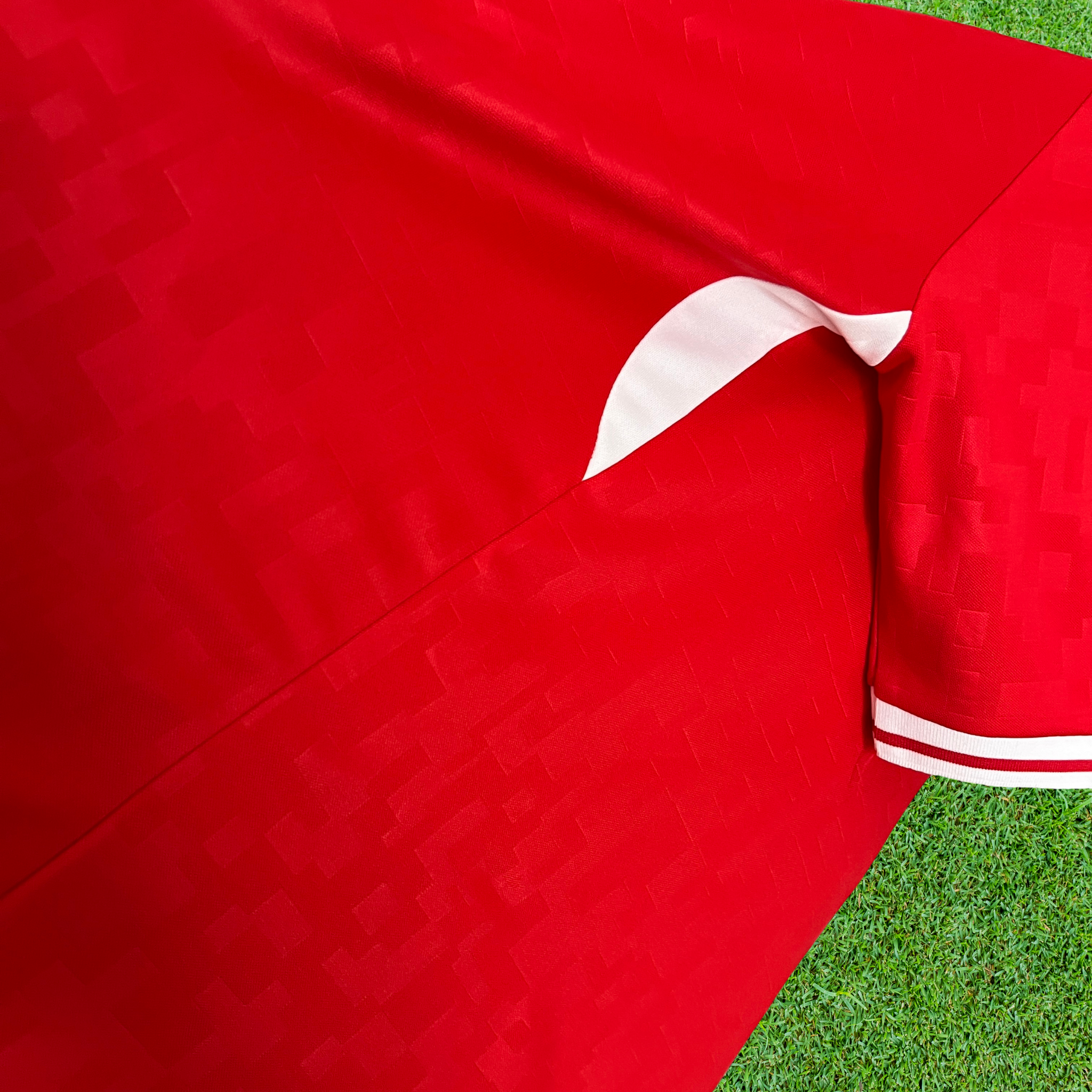 Jersey Denmark I 2024 Fan