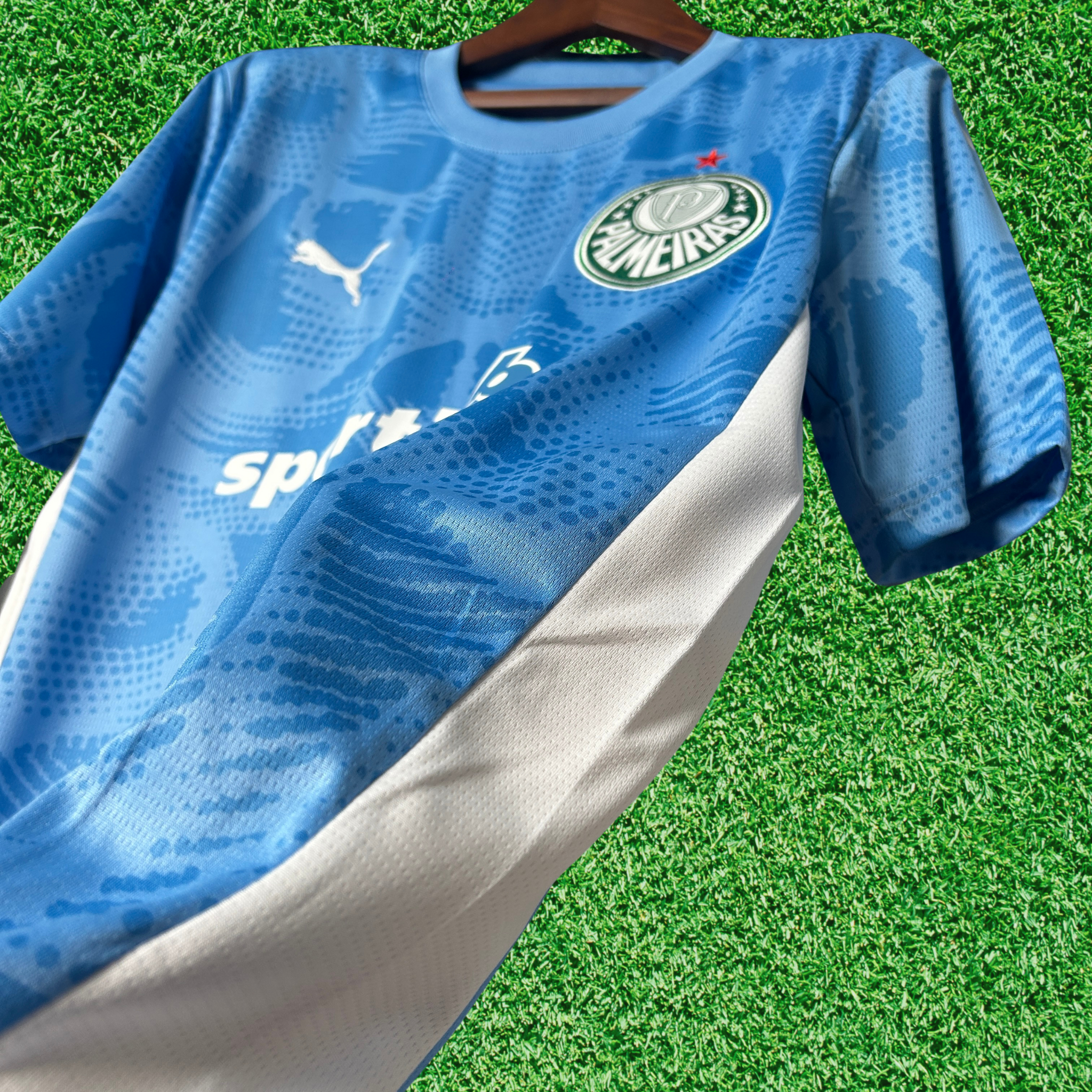 Jersey Palmeiras Goalkeeper I 25/26 Fan
