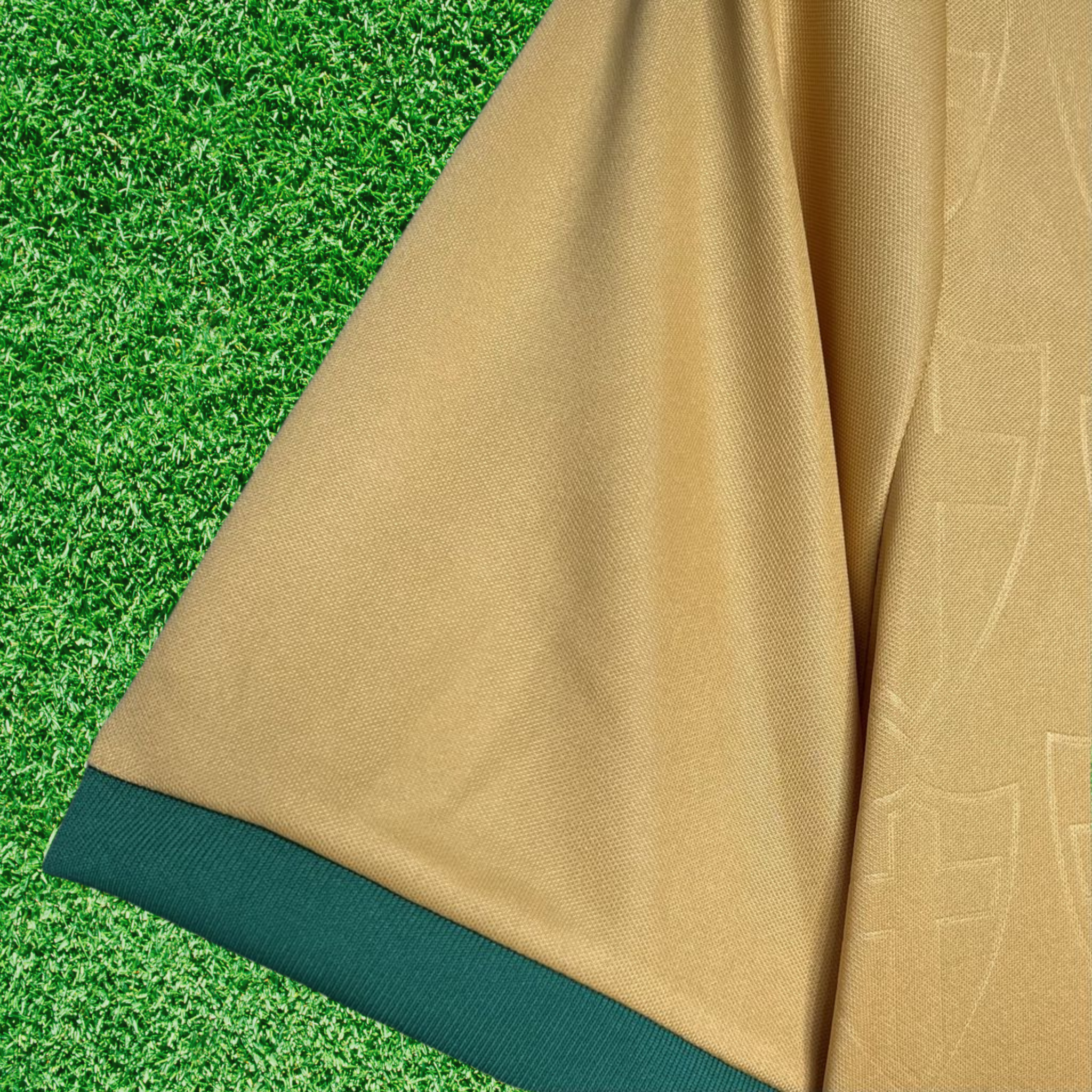 Jersey Palmeiras III 24/25 Fan