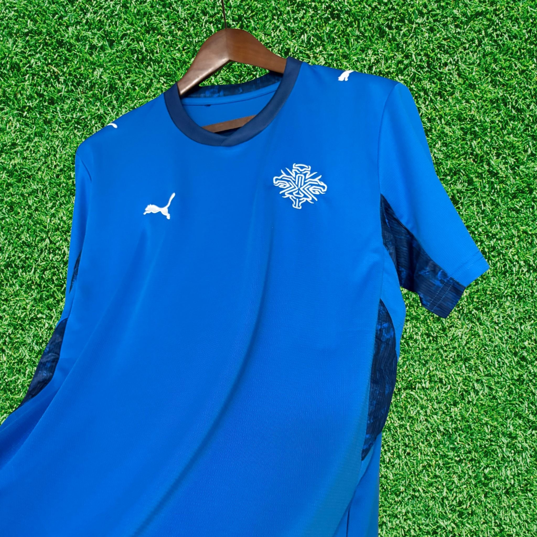 Jersey Iceland I 2026 Fan
