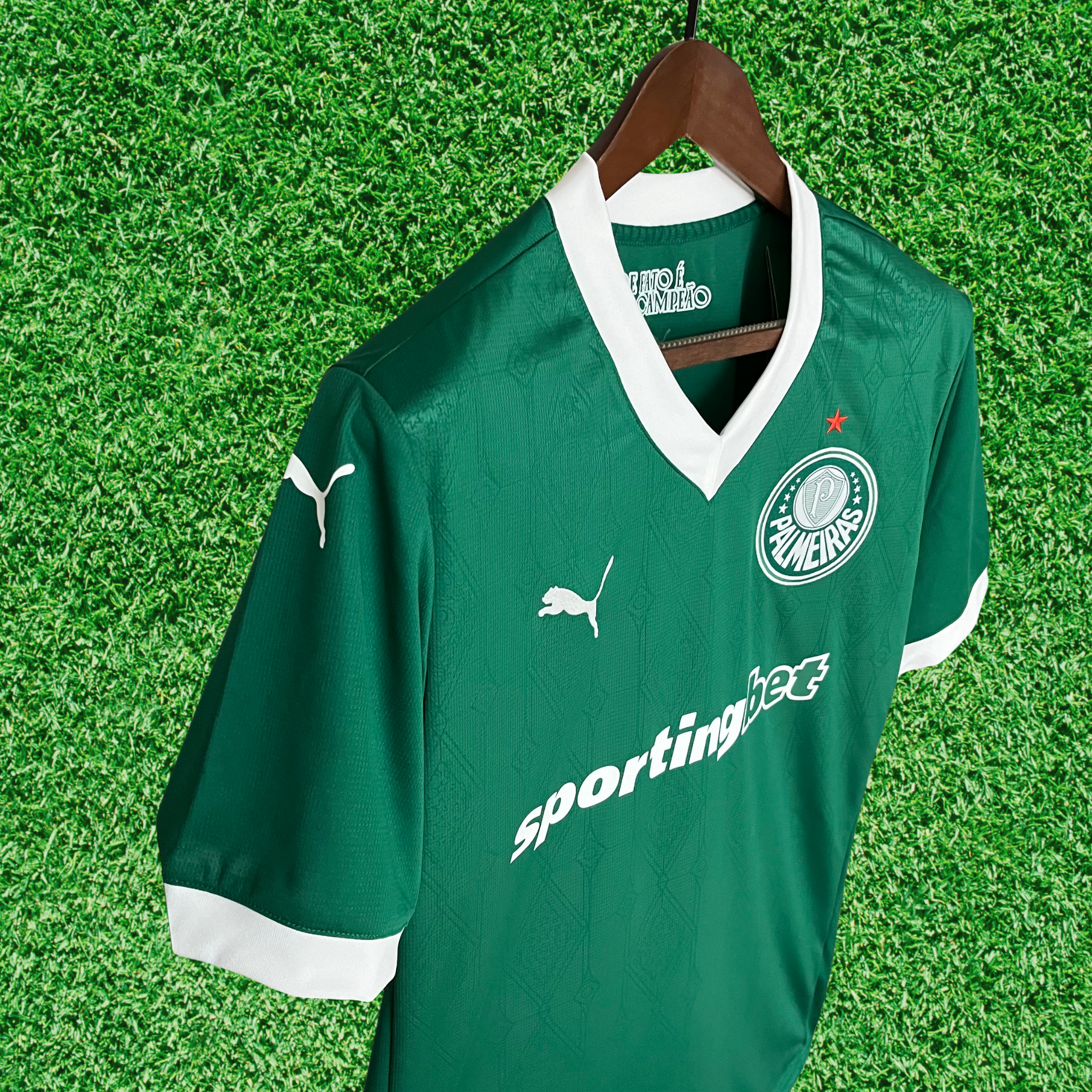 Jersey Palmeiras I 25/26 Fan