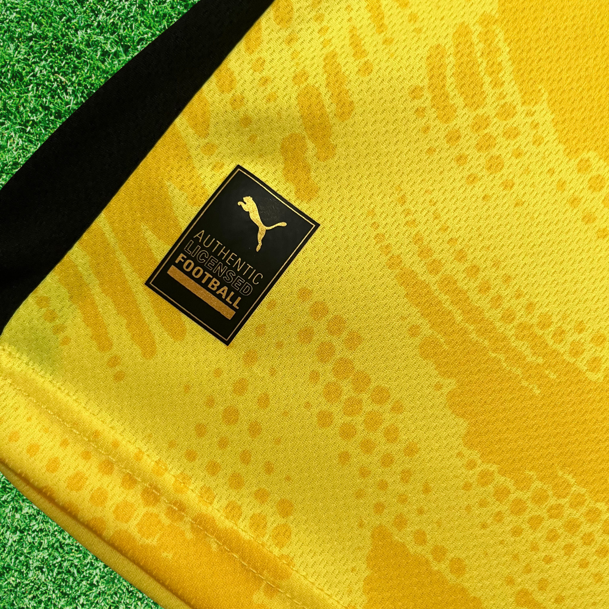 Jersey Bahia Goalkeeper II 25/26 Fan