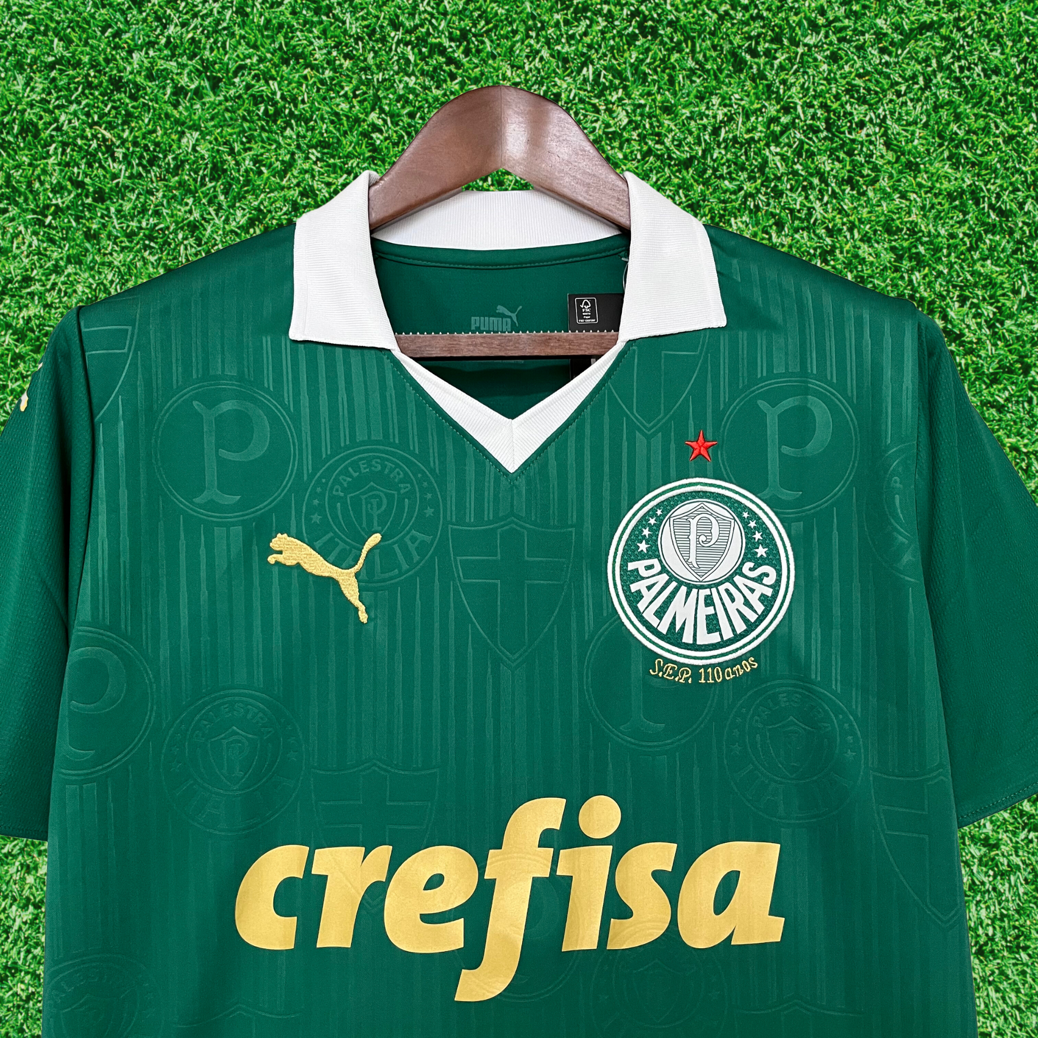 Jersey Palmeiras I 24/25 Fan