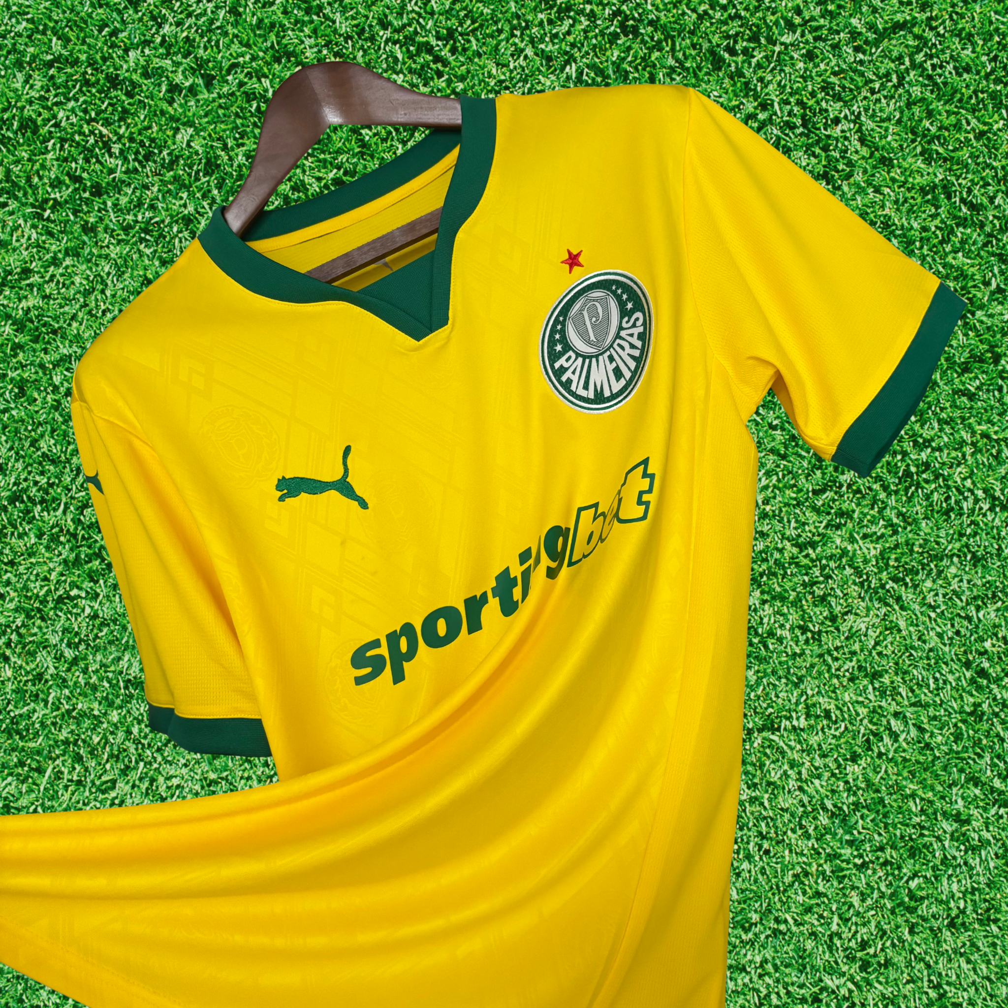 Jersey Palmeiras III 25/26 Fan