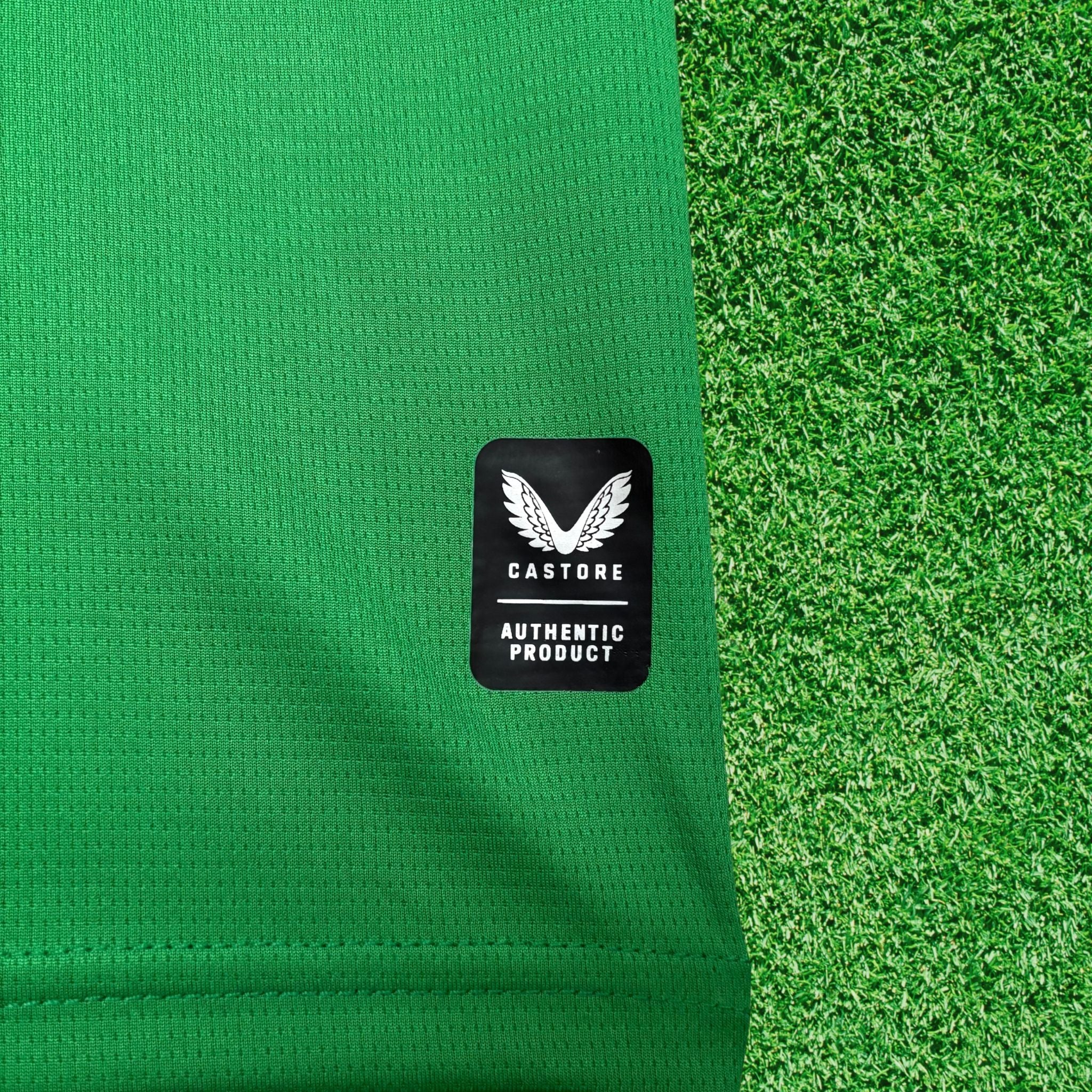 Jersey Ireland I 2026 Fan