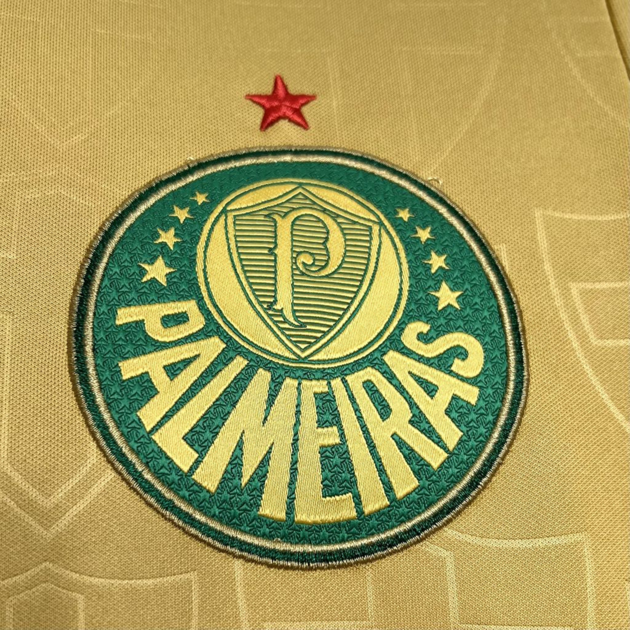 Jersey Palmeiras III 24/25 Fan