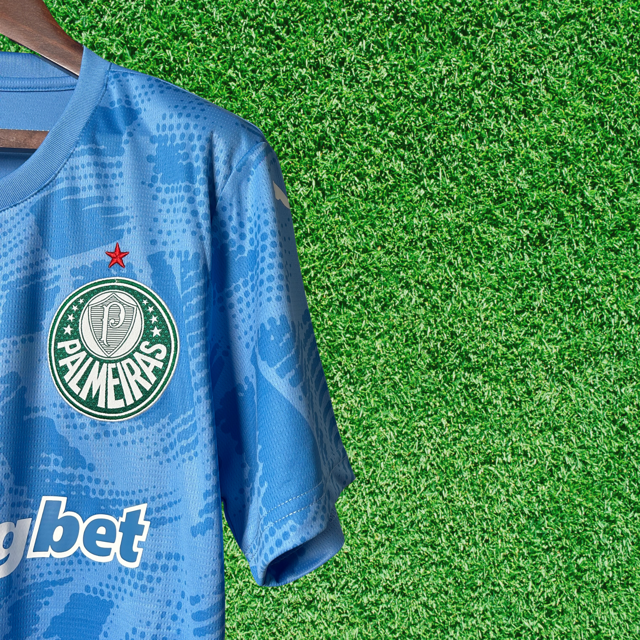 Jersey Palmeiras Goalkeeper I 25/26 Fan