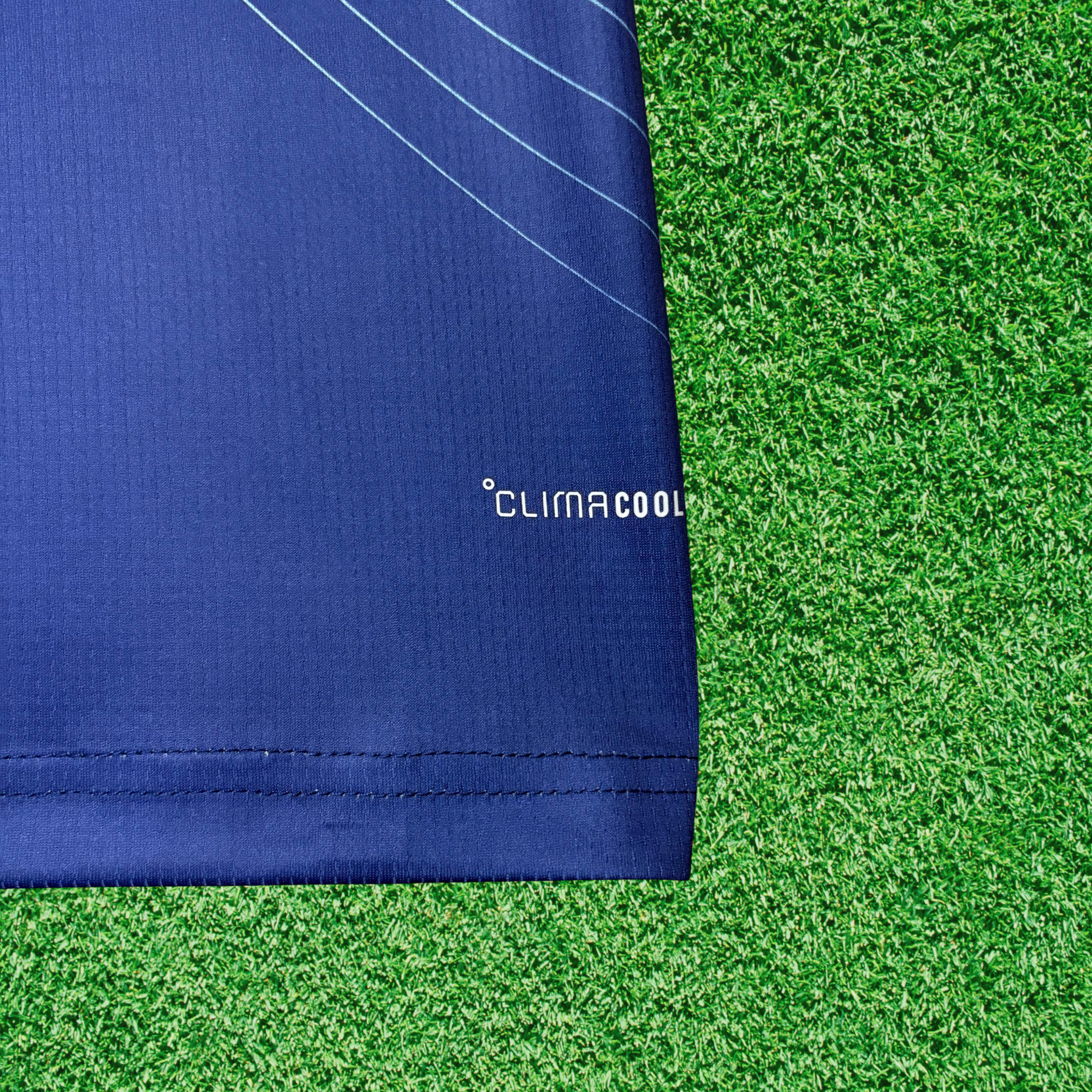 Jersey Japan I 2026 Fan