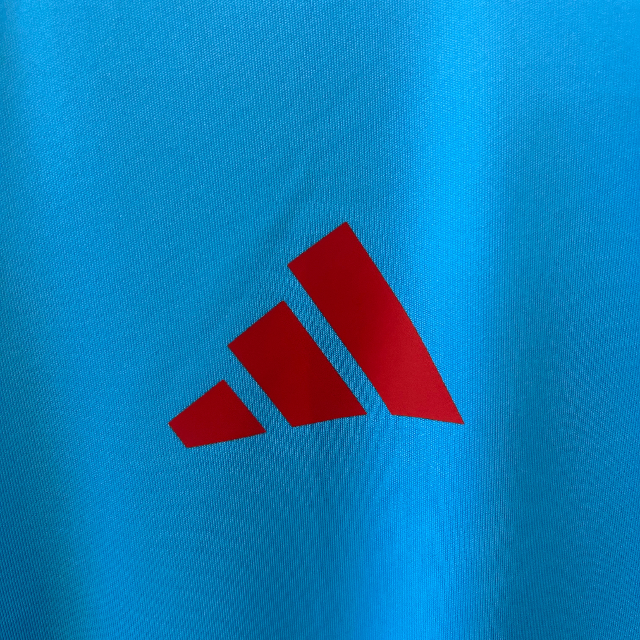 Jersey Flamengo Training I 25/26 Fan
