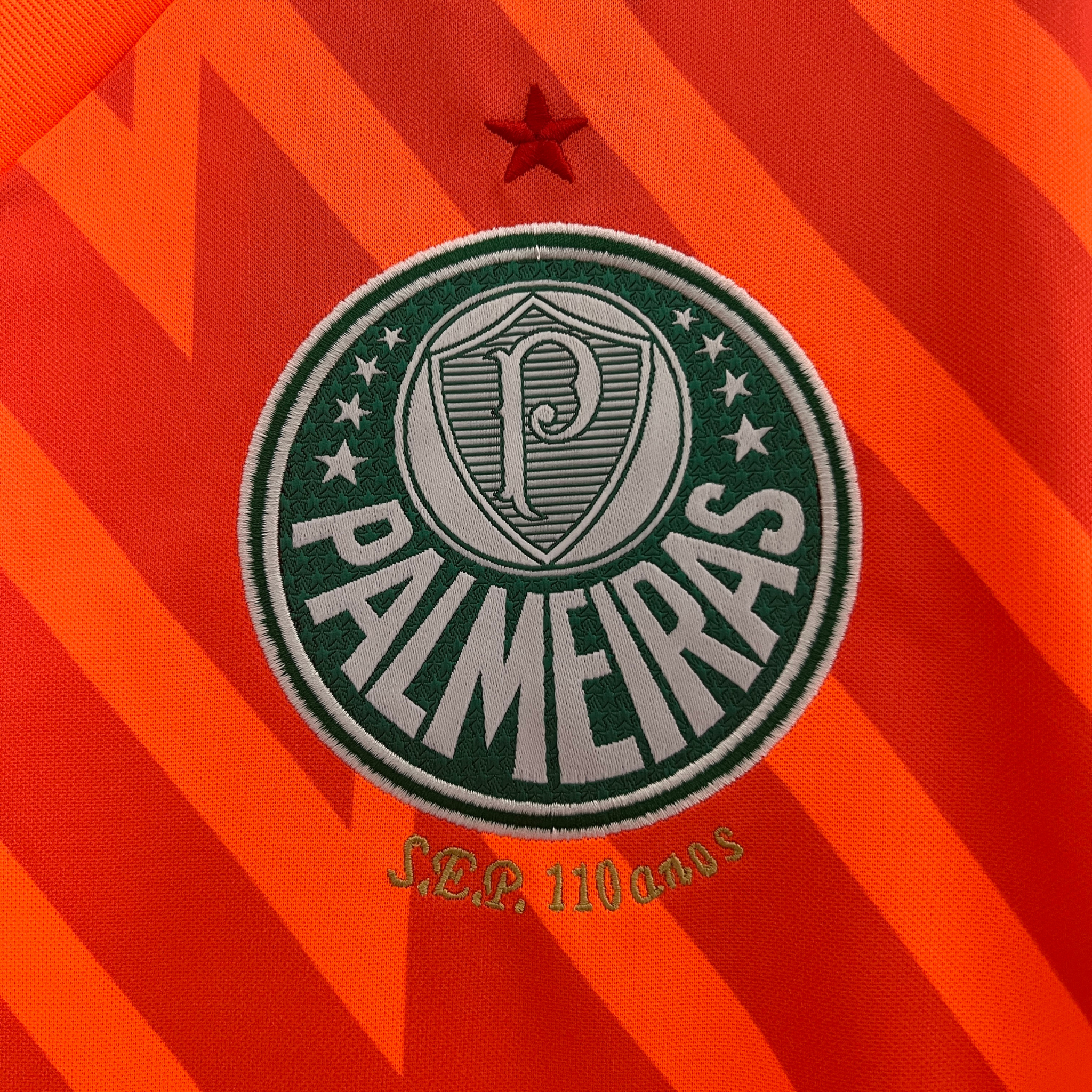 Jersey Palmeiras Goalkeeper 24/25 Fan