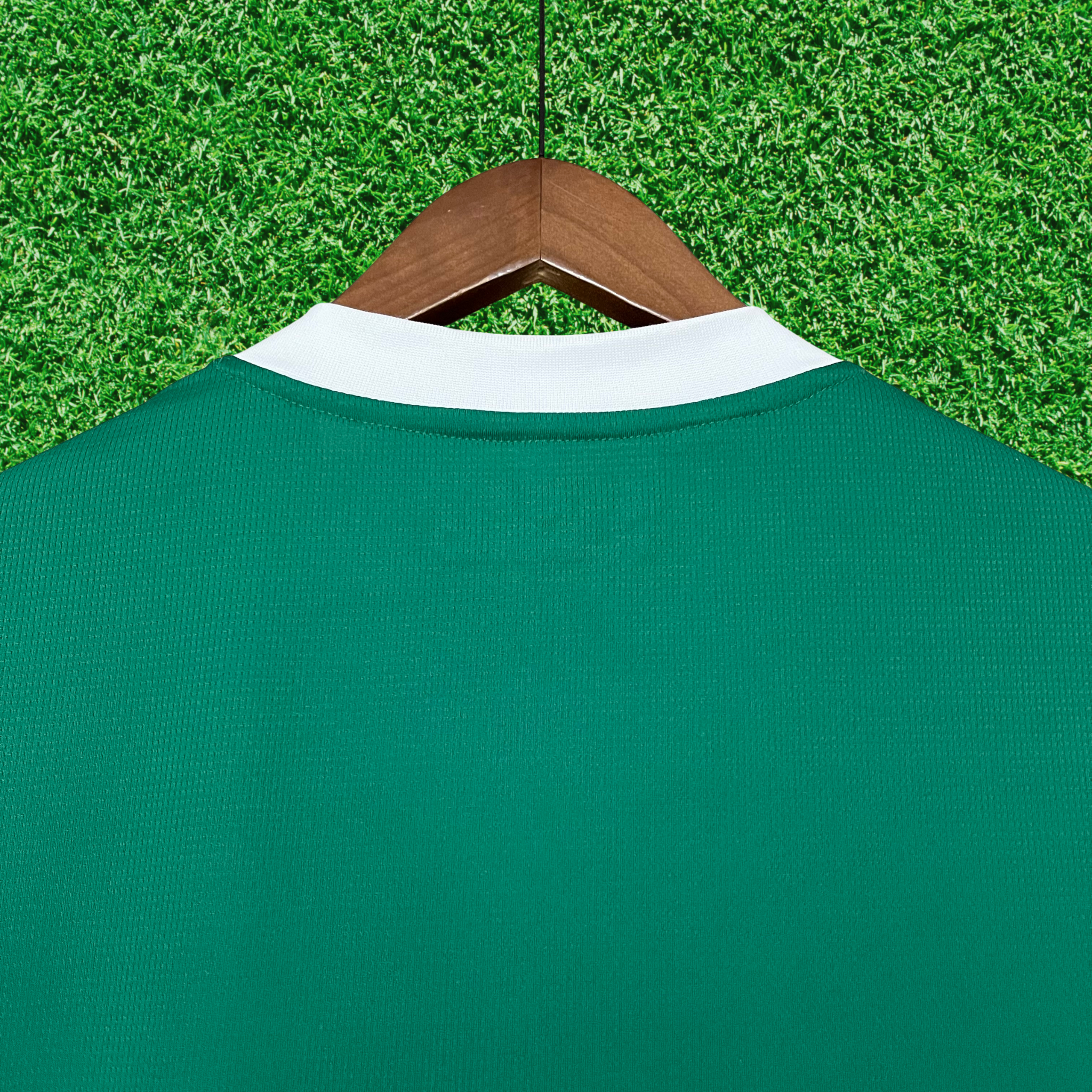 Jersey Palmeiras I 25/26 Fan