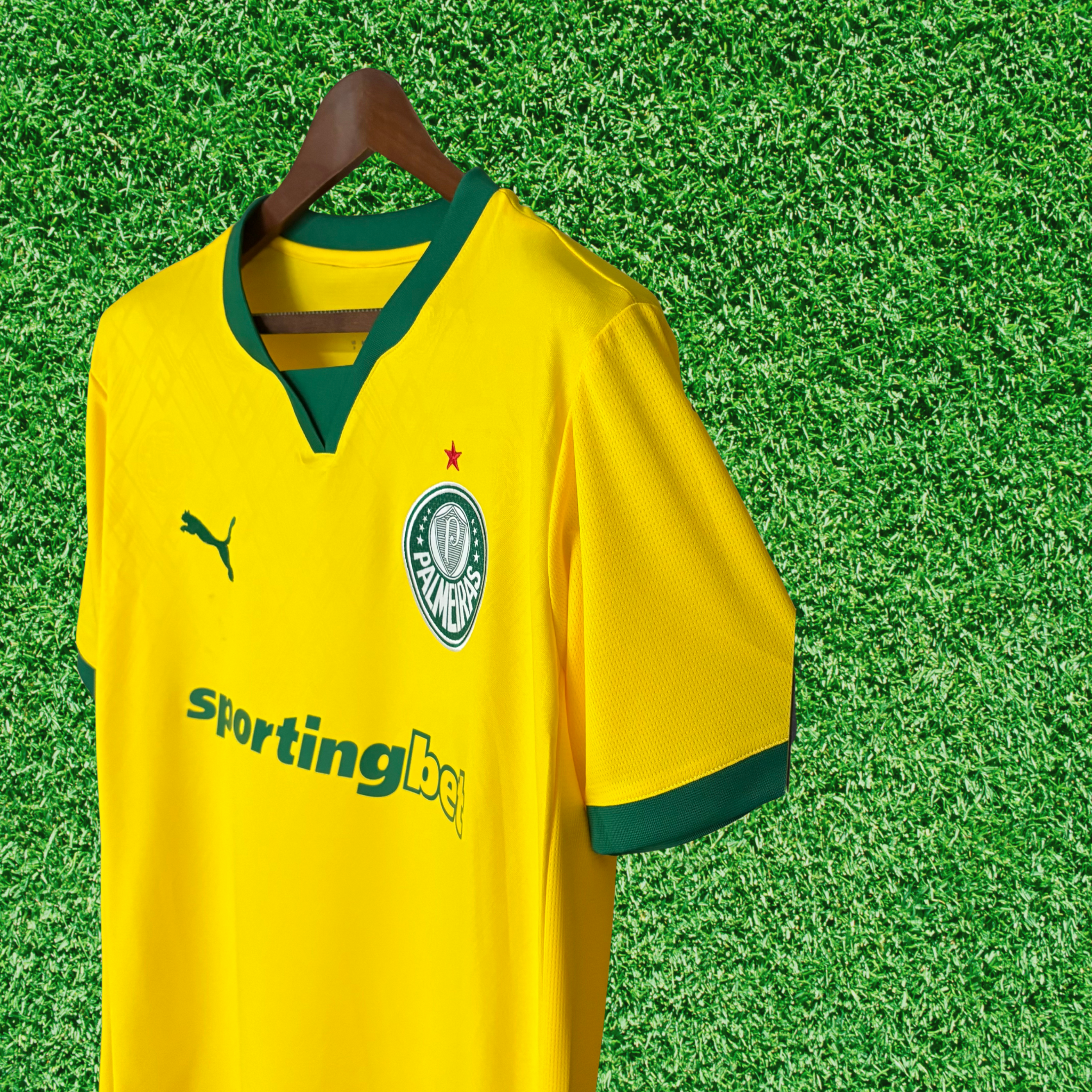 Jersey Palmeiras III 25/26 Fan