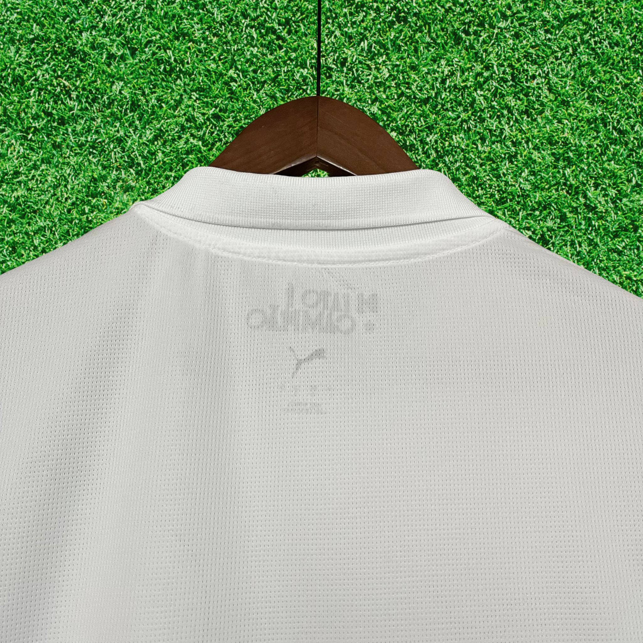 Jersey Palmeiras II 25/26 Fan