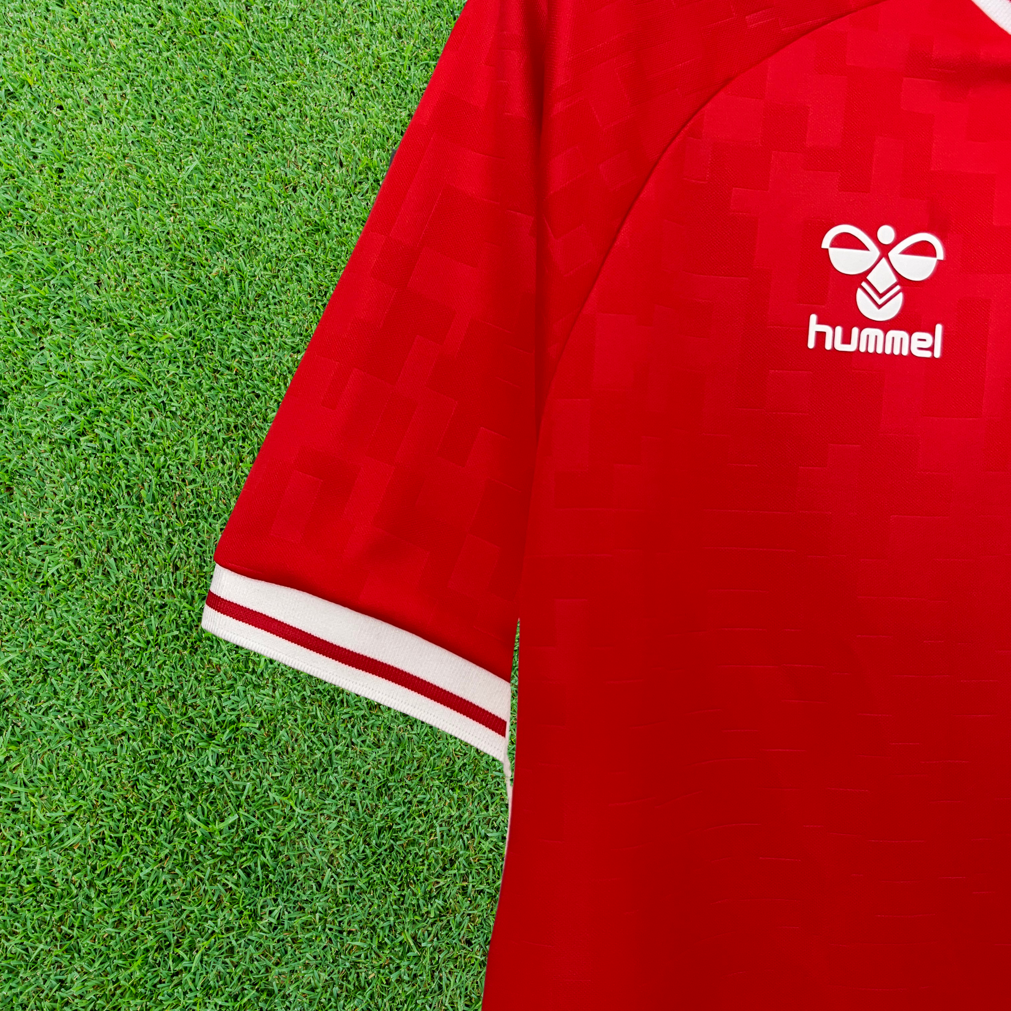 Jersey Denmark I 2024 Fan