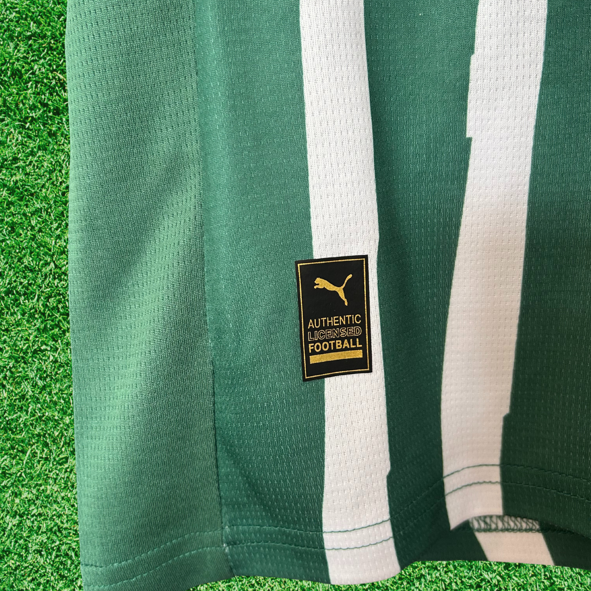 Jersey Palmeiras Special Edition Mundial De Clubes 25/26 Fan