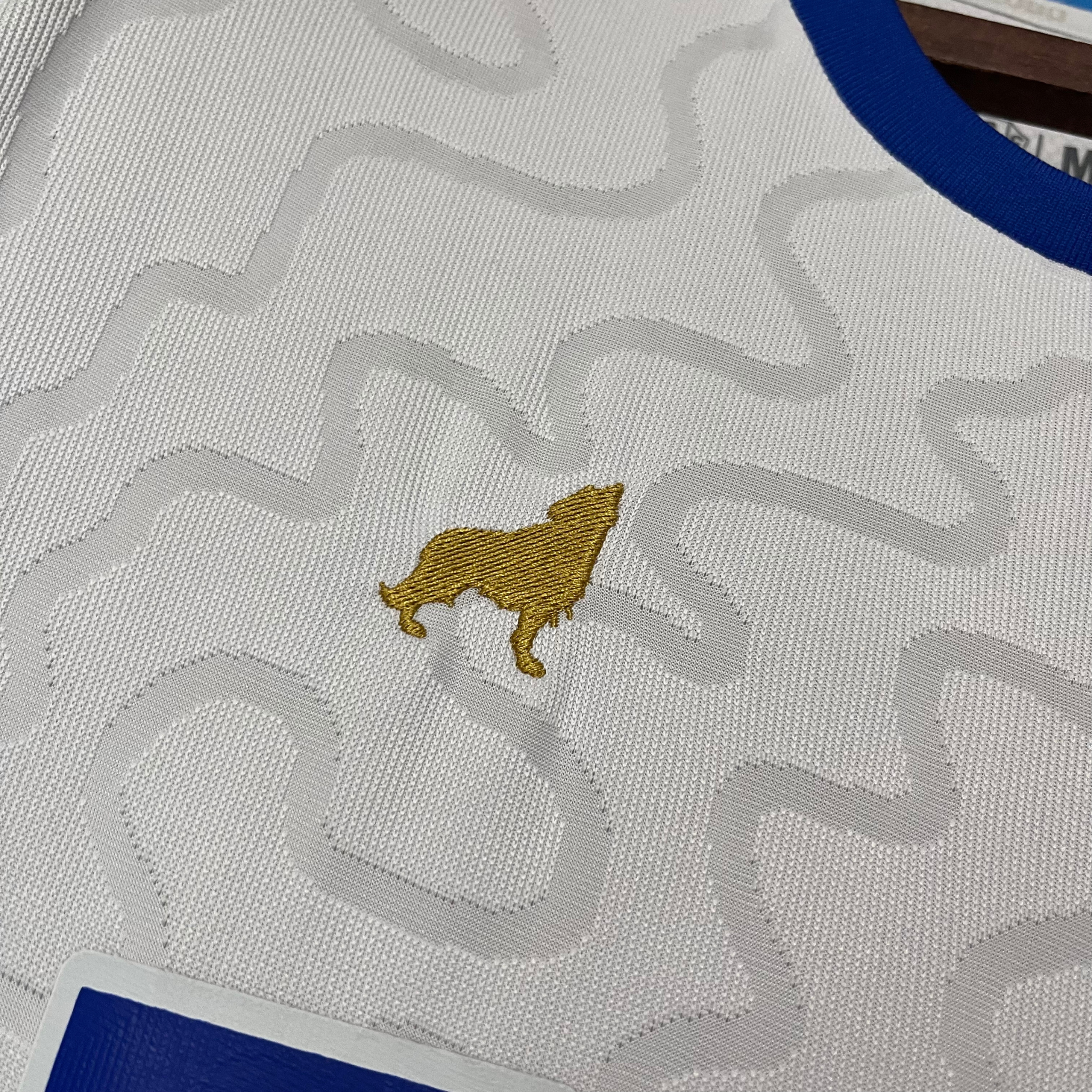 Jersey Paysandu II 25/26 Fan