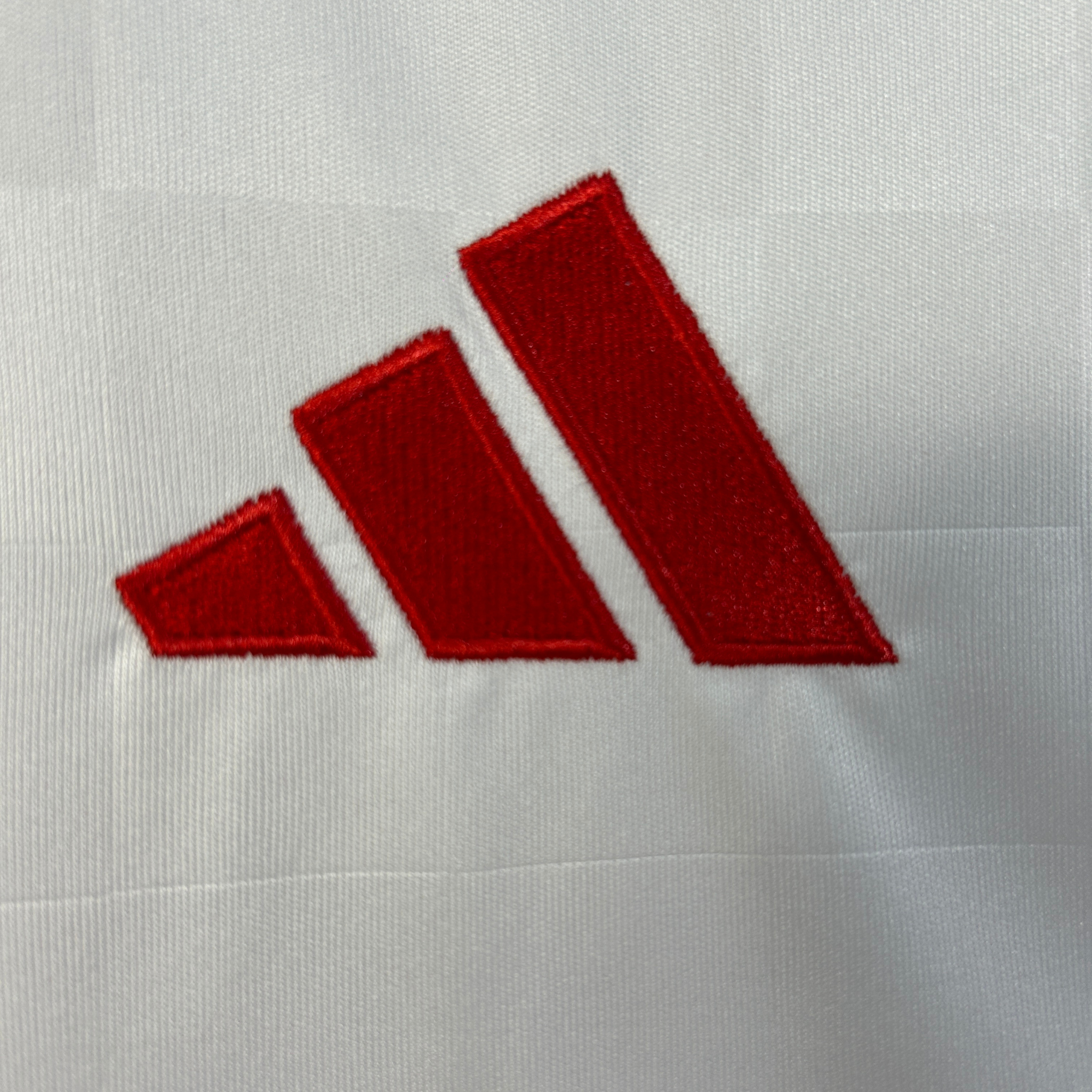 Jersey SL Benfica III 25/26 Fan