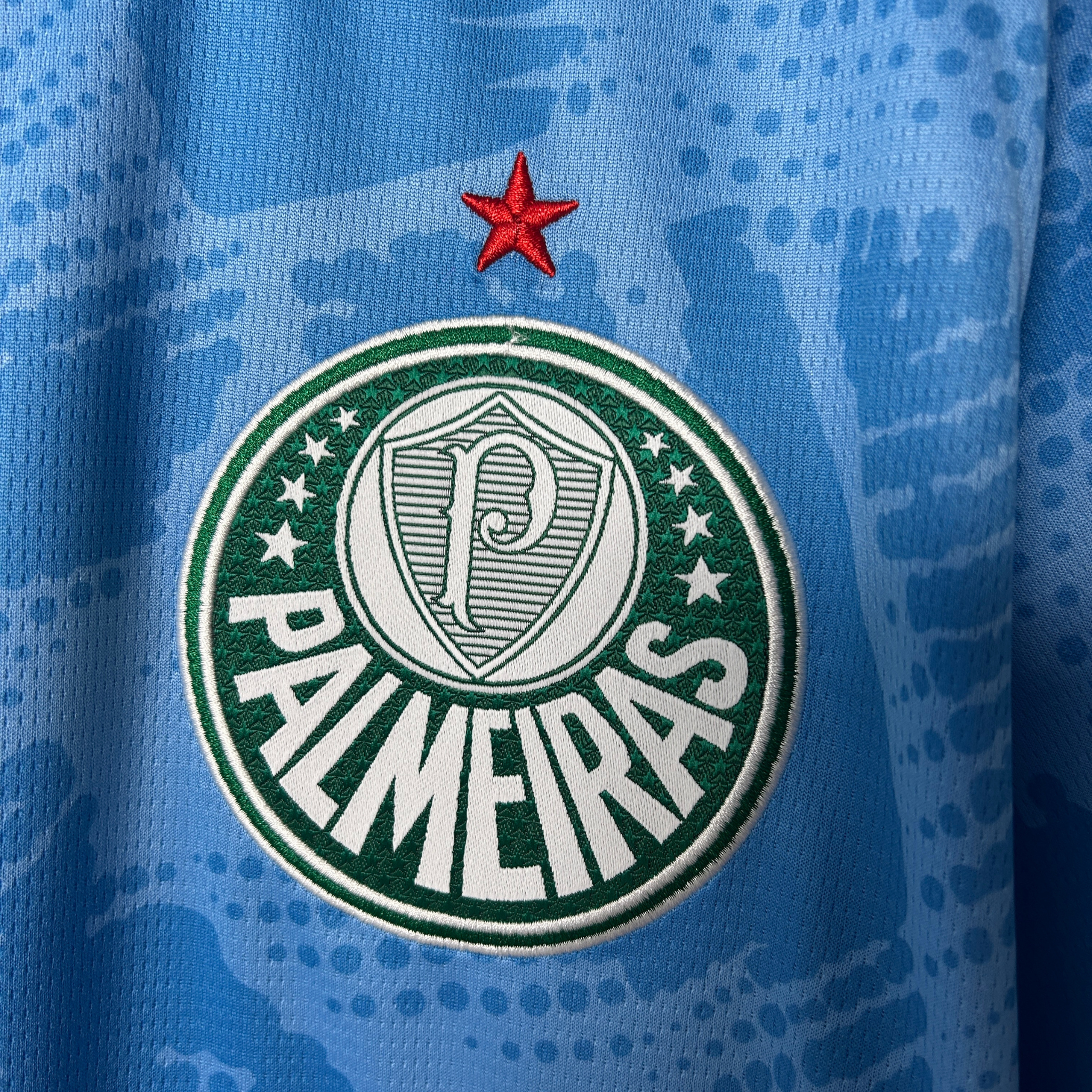Jersey Palmeiras Goalkeeper I 25/26 Fan