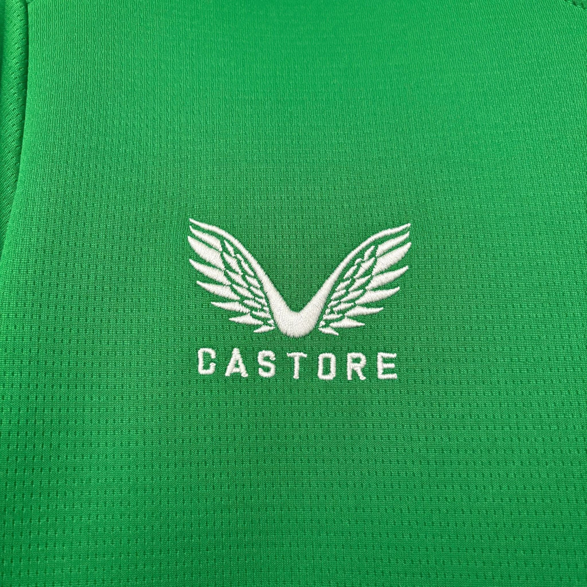 Jersey Ireland I 2026 Fan