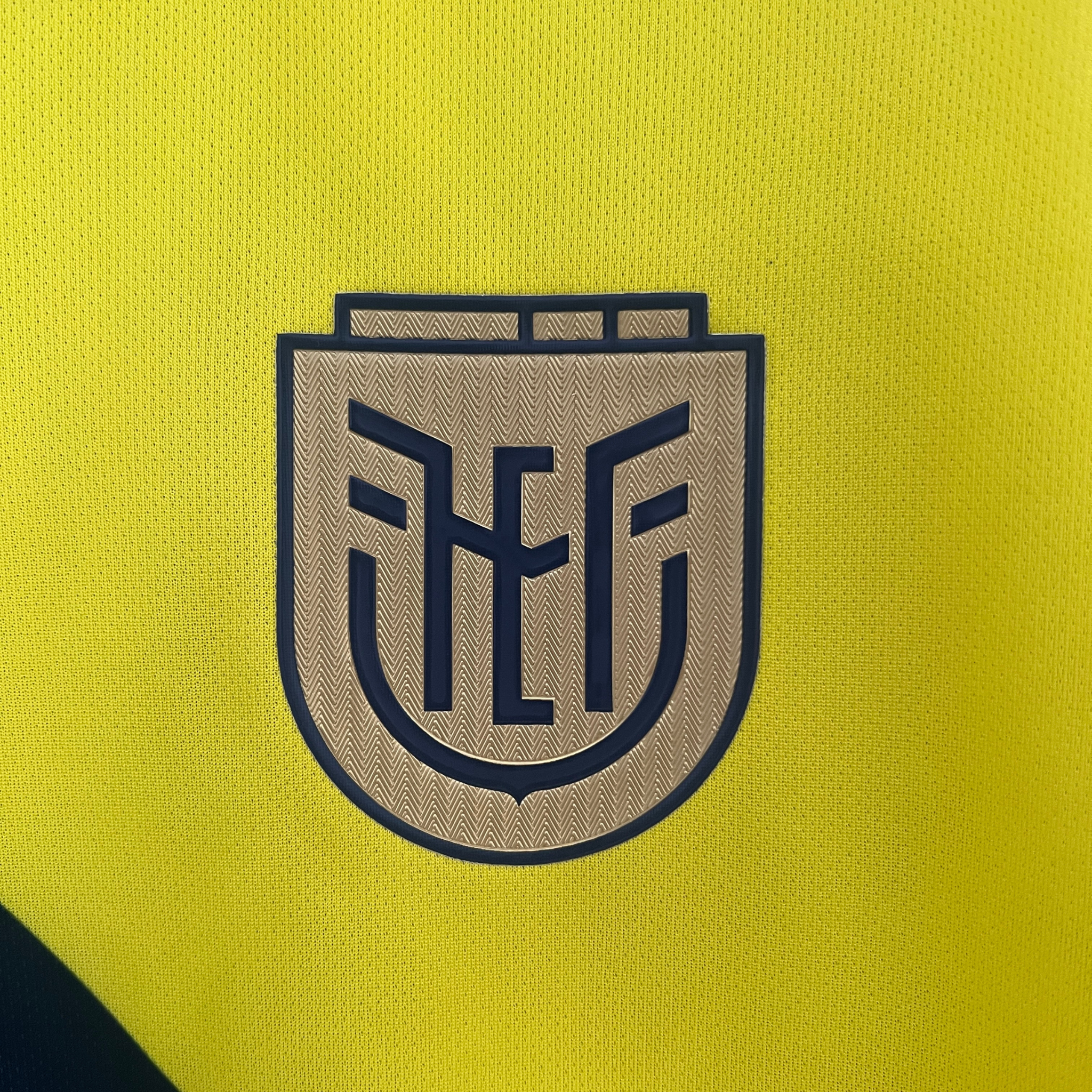 Jersey Ecuador I 2024 Fan