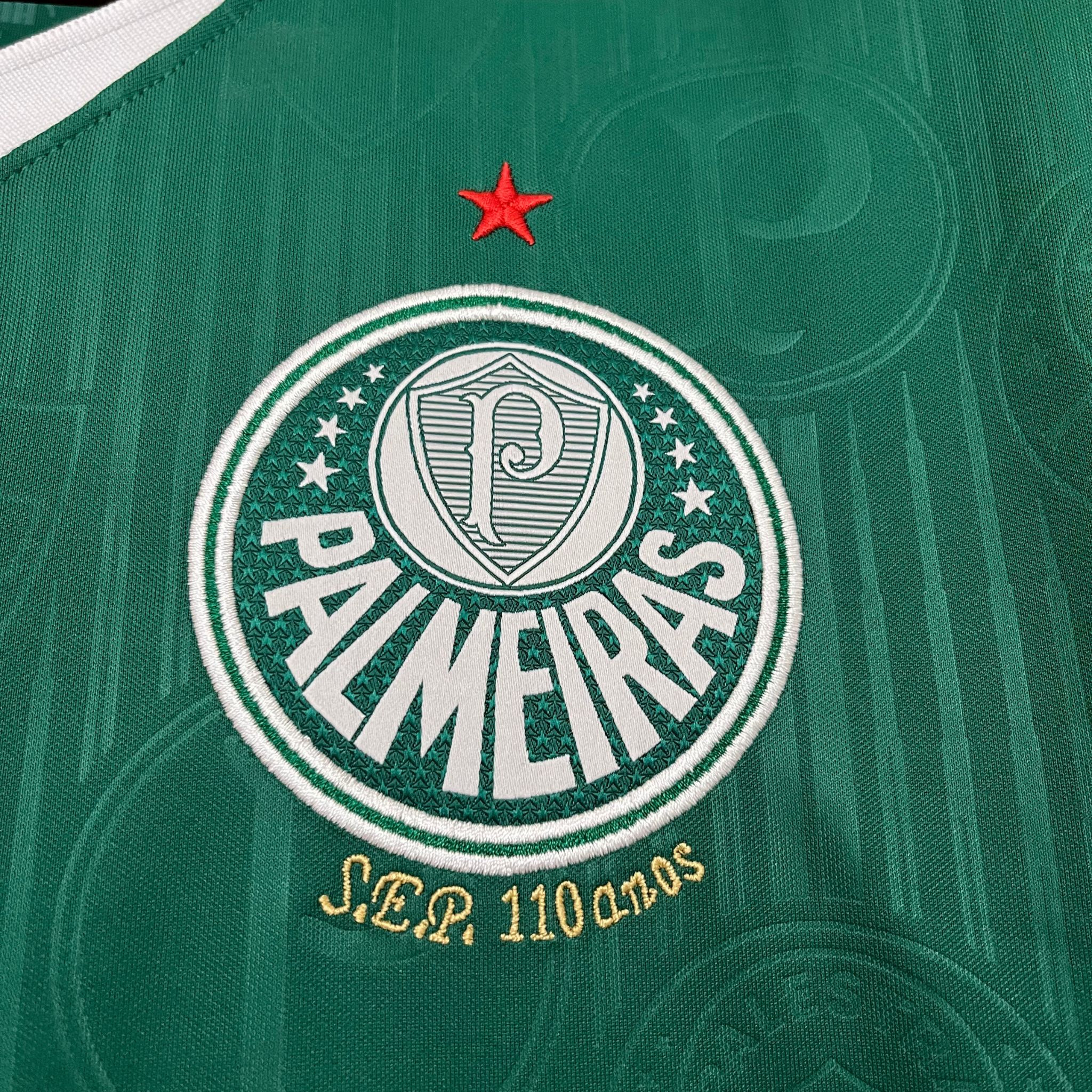 Jersey Palmeiras I 24/25 Fan